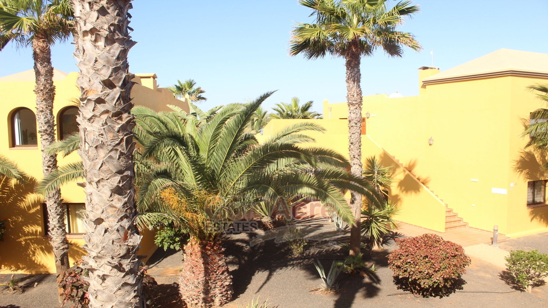 Condominium in Corralejo, Canary Islands 10028480