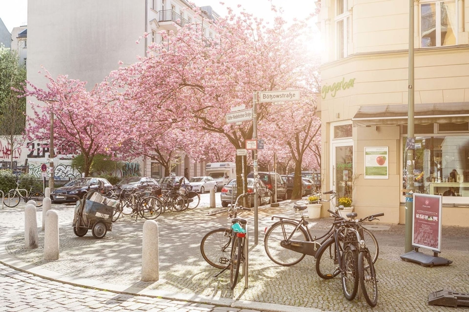 Borettslag i Prenzlauer Berg, Berlin 10028590