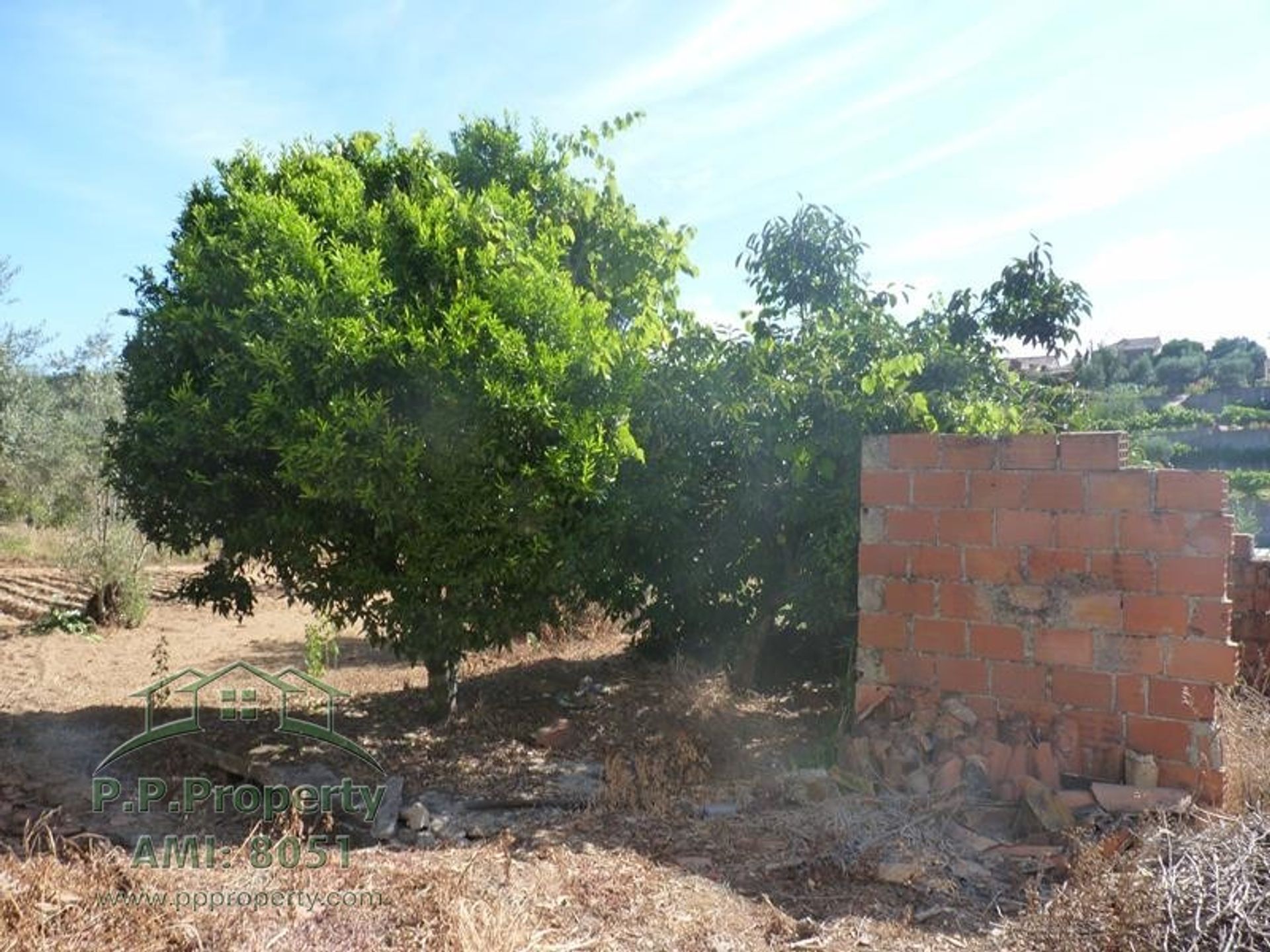 Hus i Pedrogao Grande, Leiria 10028667