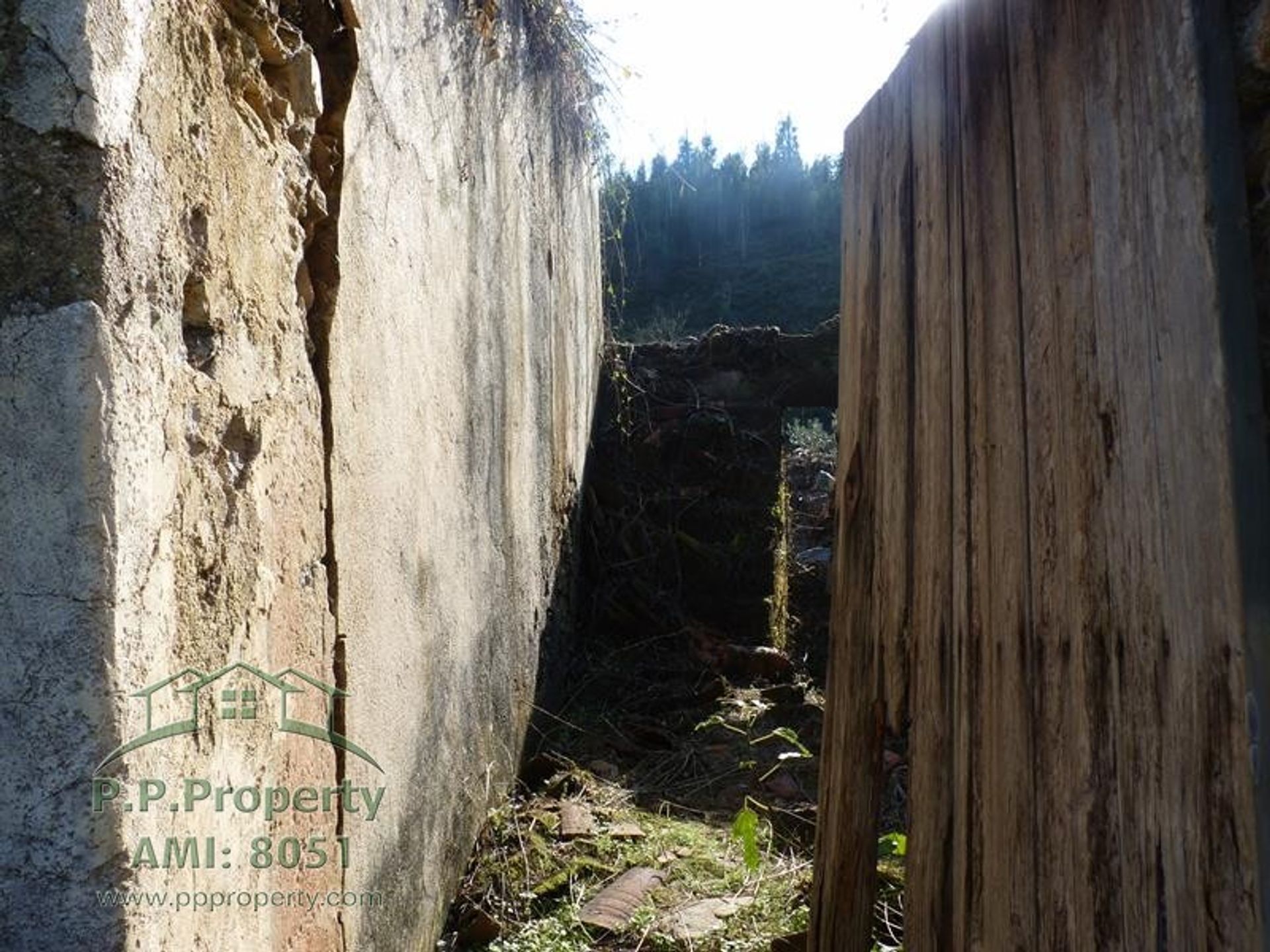 rumah dalam Figueiro dos Vinhos, Leiria 10028689