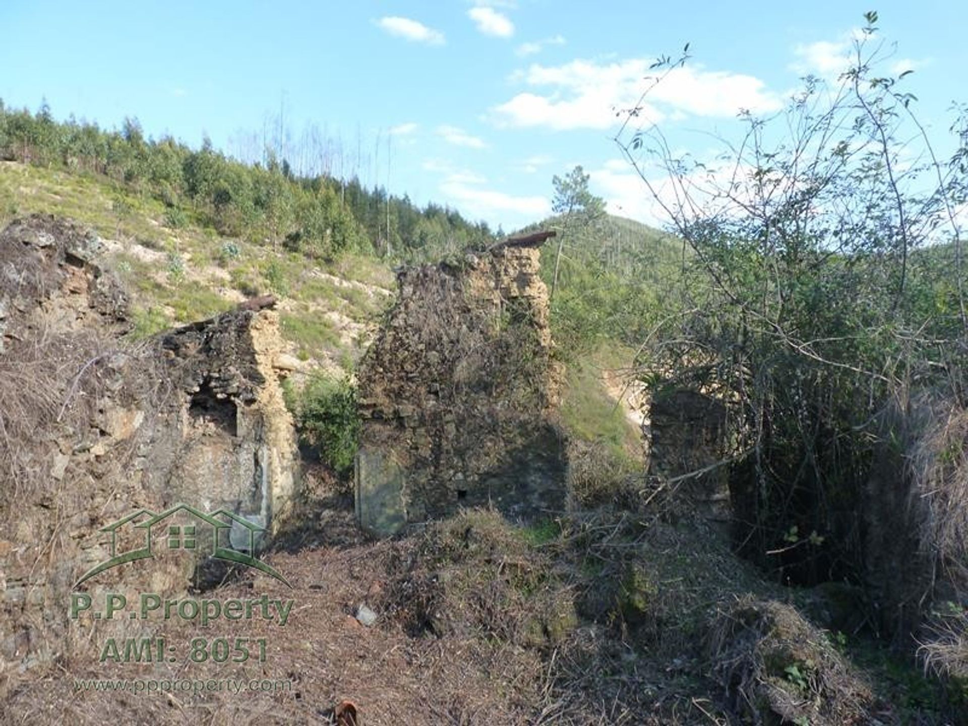 मकान में Figueiro dos Vinhos, Leiria 10028689