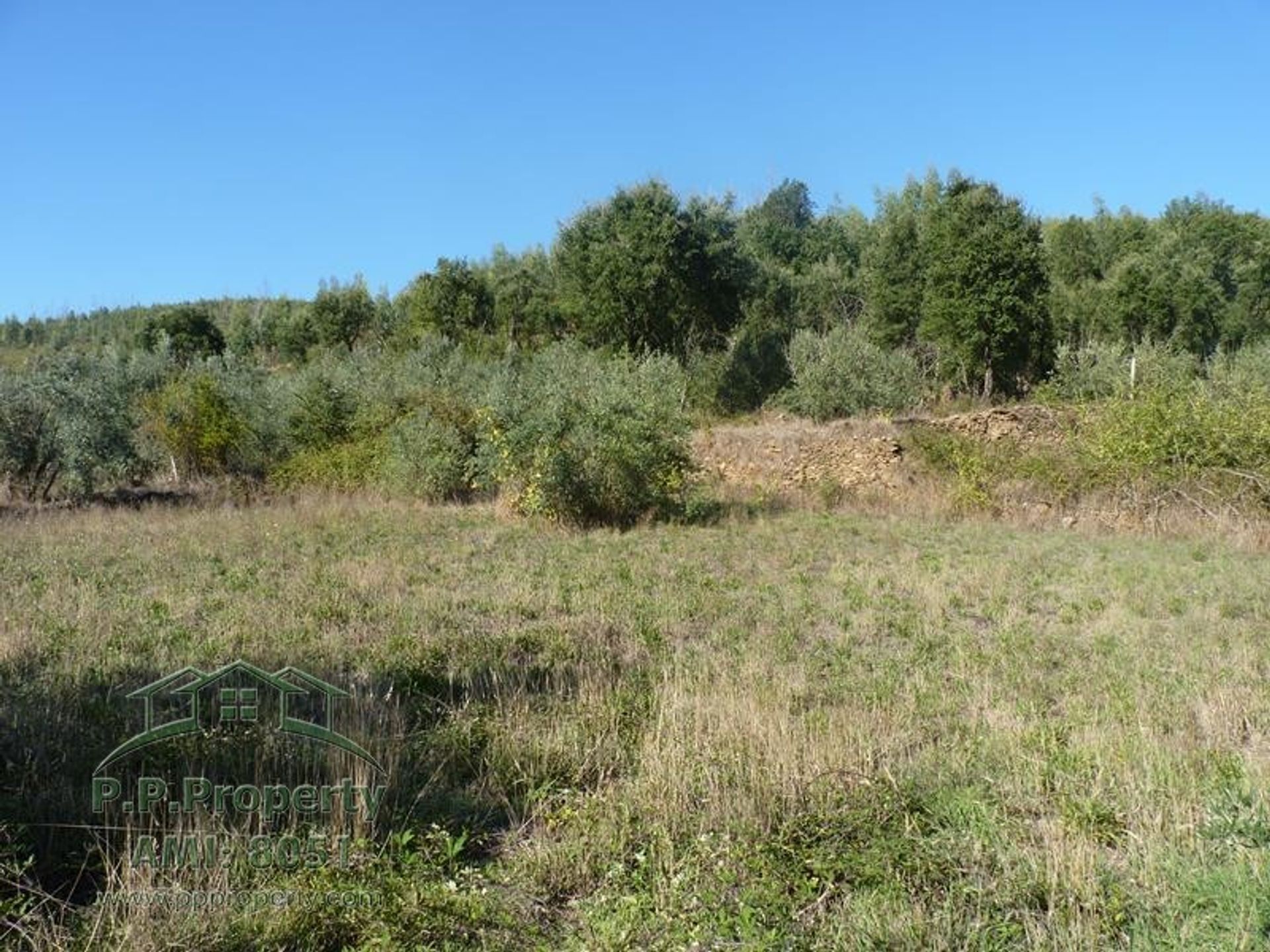 rumah dalam Figueiro dos Vinhos, Leiria 10028689