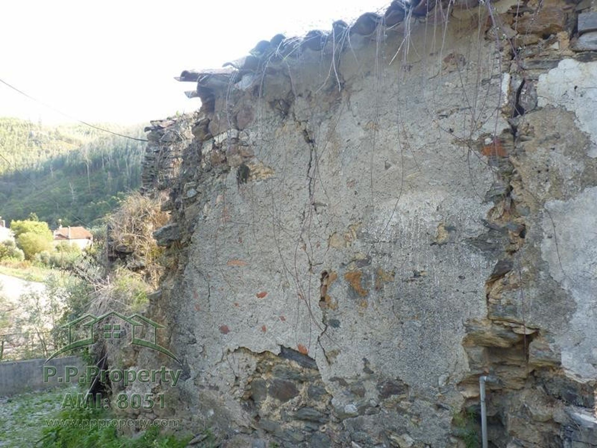 rumah dalam Figueiro dos Vinhos, Leiria 10028689