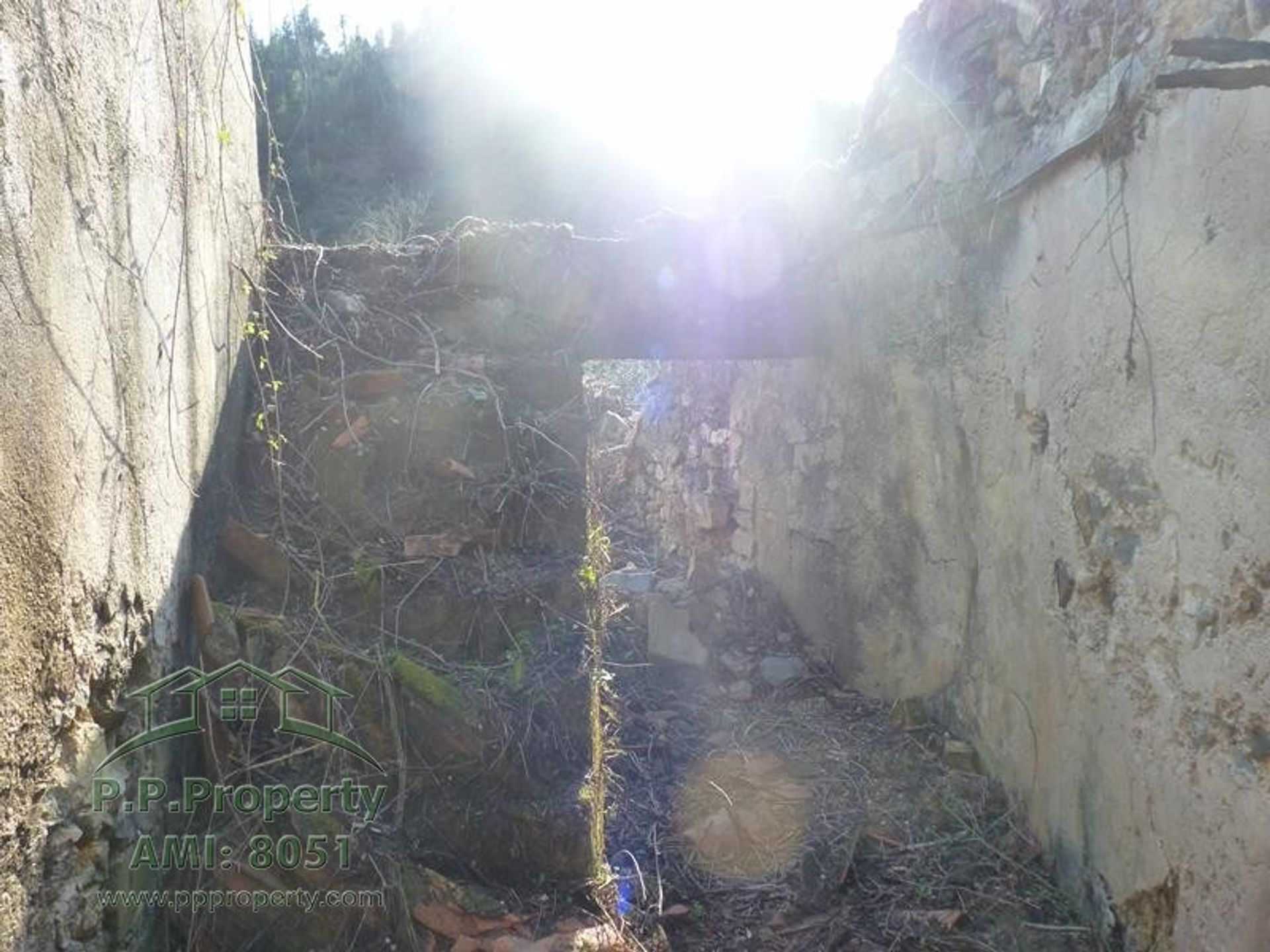 rumah dalam Figueiro dos Vinhos, Leiria 10028689