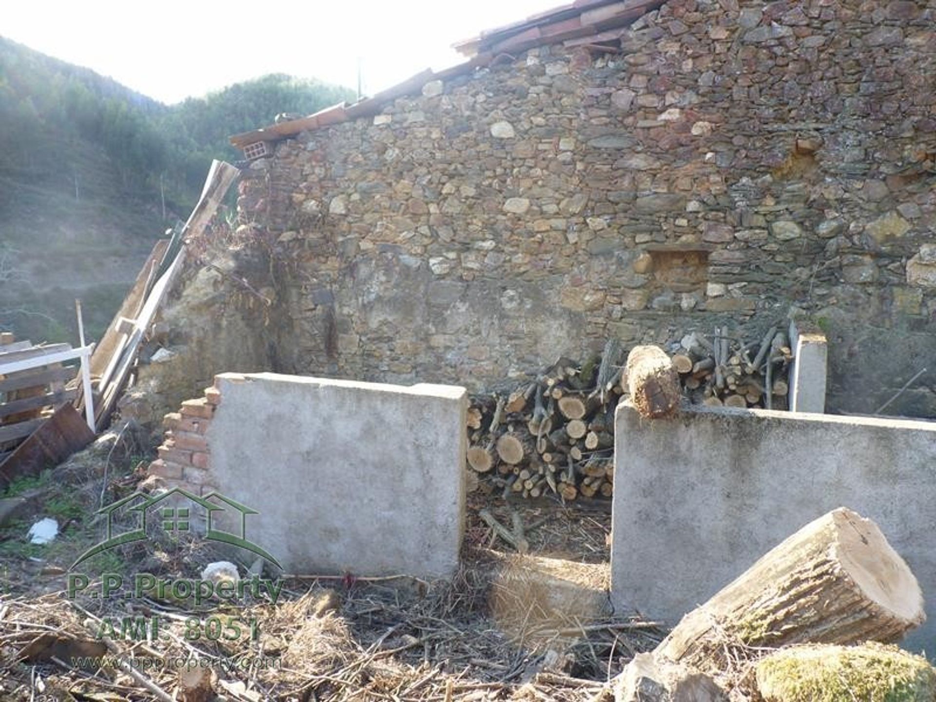 rumah dalam Figueiro dos Vinhos, Leiria 10028689