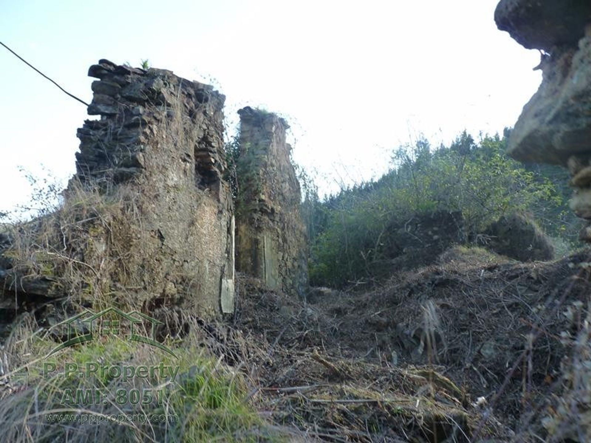 rumah dalam Figueiro dos Vinhos, Leiria 10028689