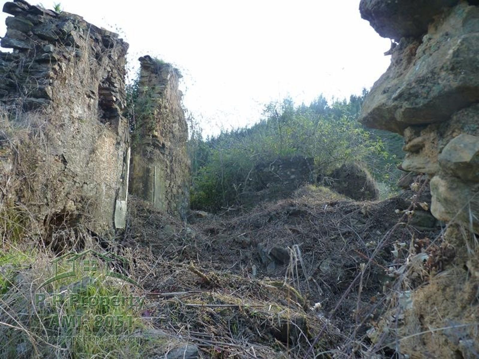 rumah dalam Figueiro dos Vinhos, Leiria 10028689