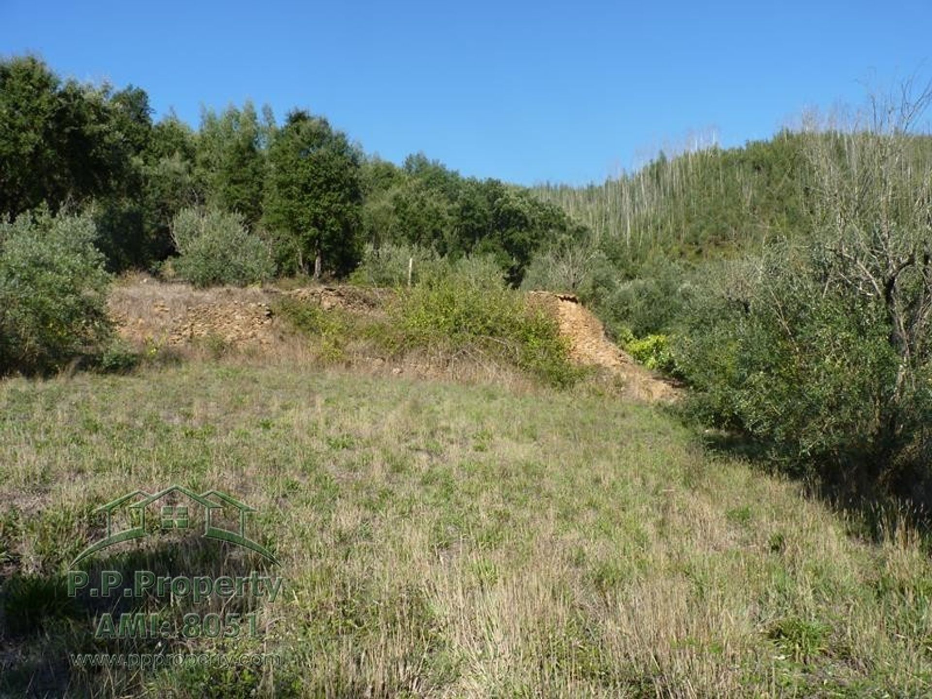 rumah dalam Figueiro dos Vinhos, Leiria 10028689