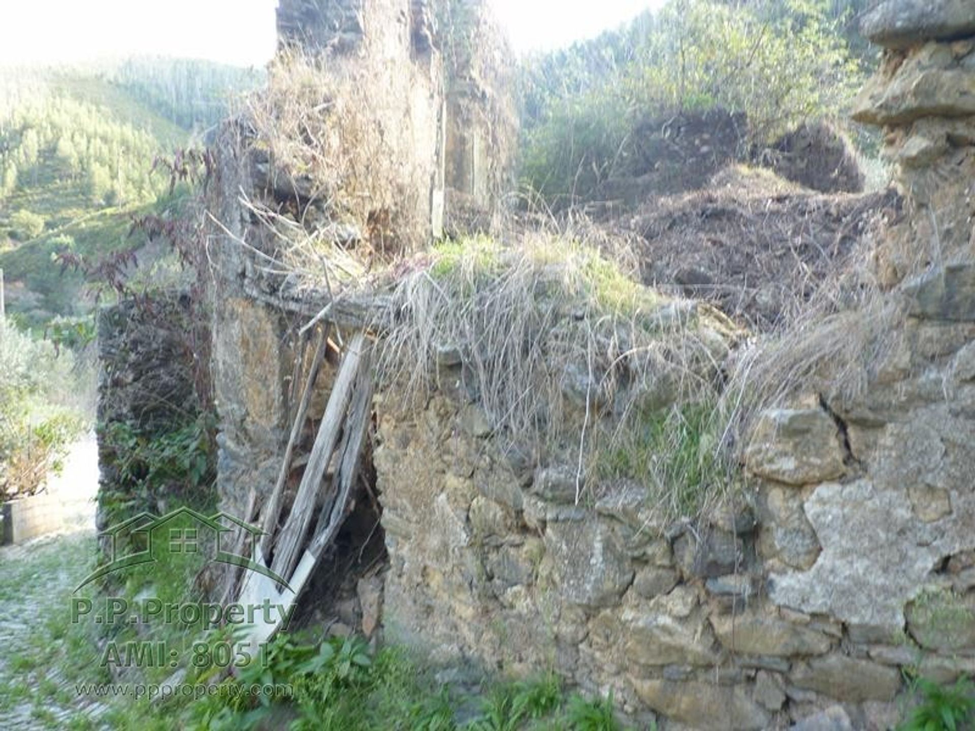 rumah dalam Figueiro dos Vinhos, Leiria 10028689