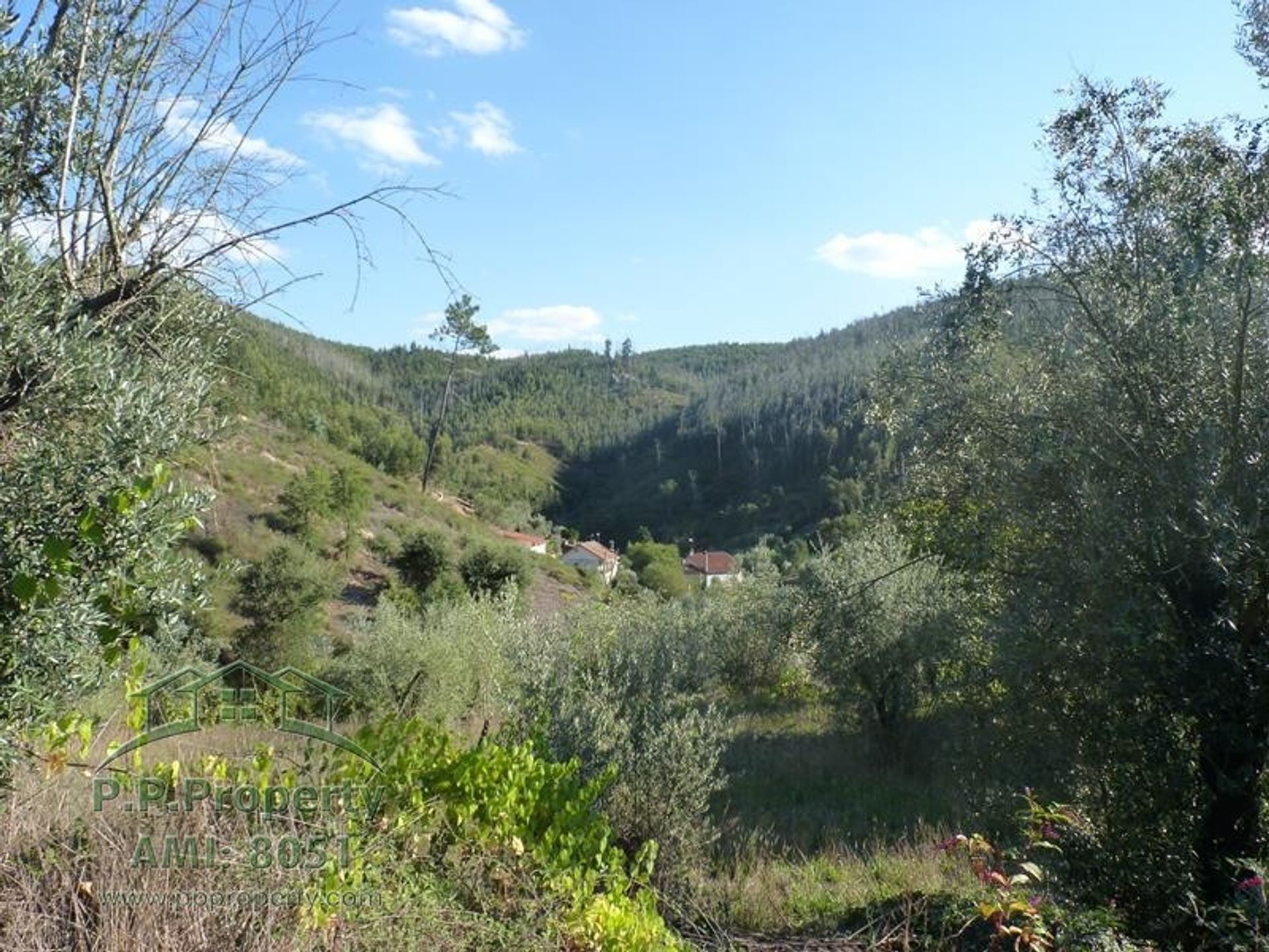 rumah dalam Figueiro dos Vinhos, Leiria 10028689