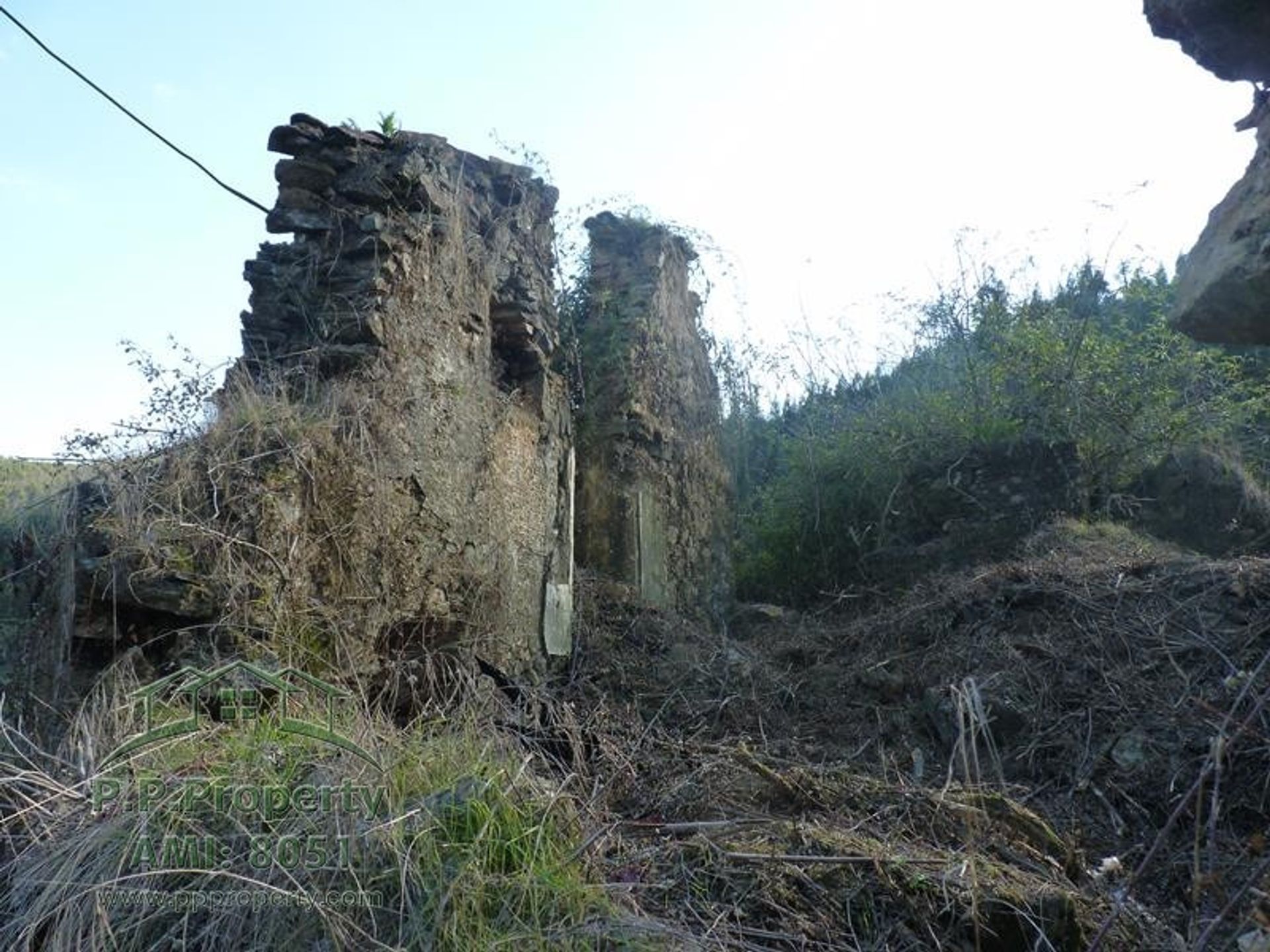 rumah dalam Figueiro dos Vinhos, Leiria 10028689