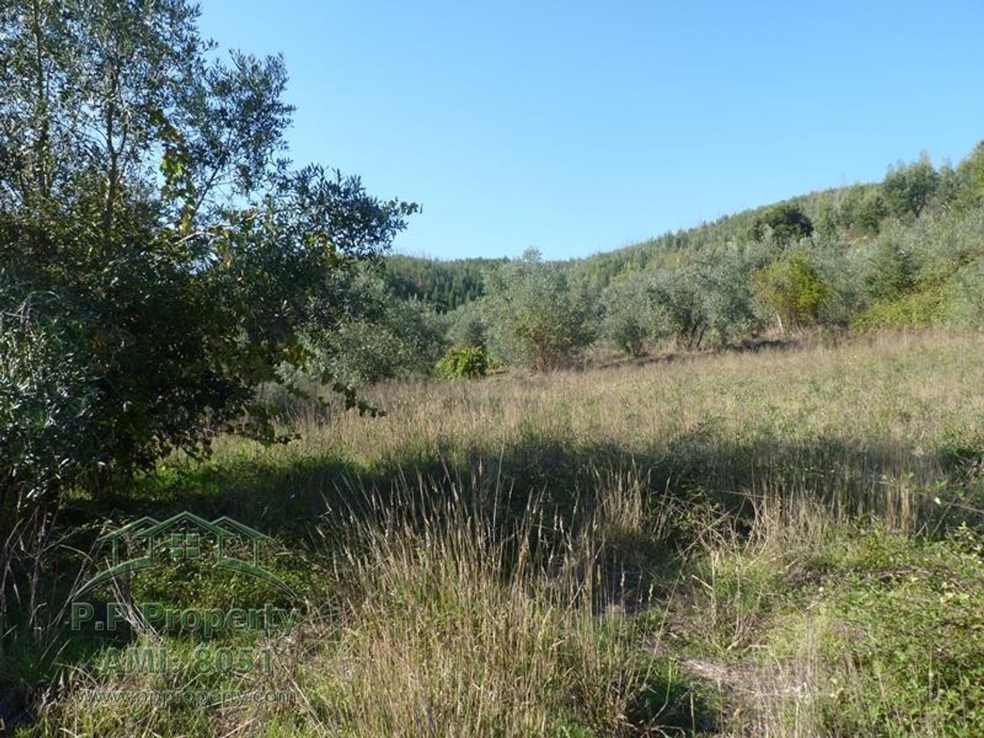 मकान में Figueiro dos Vinhos, Leiria 10028689