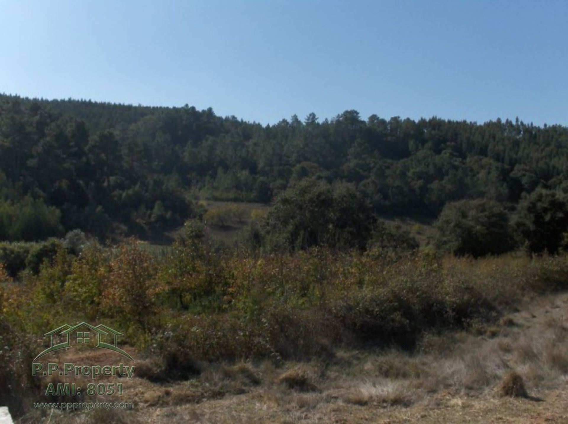 Tanah dalam Caldas da Rainha, Leiria 10028712