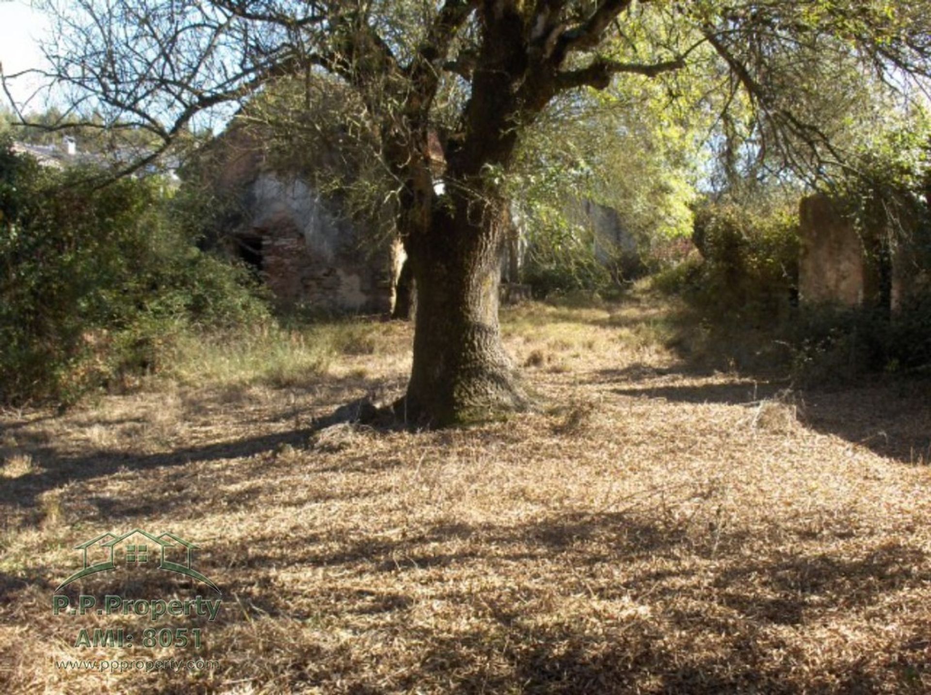 Maa sisään Caldas da Rainha, Leiria 10028712