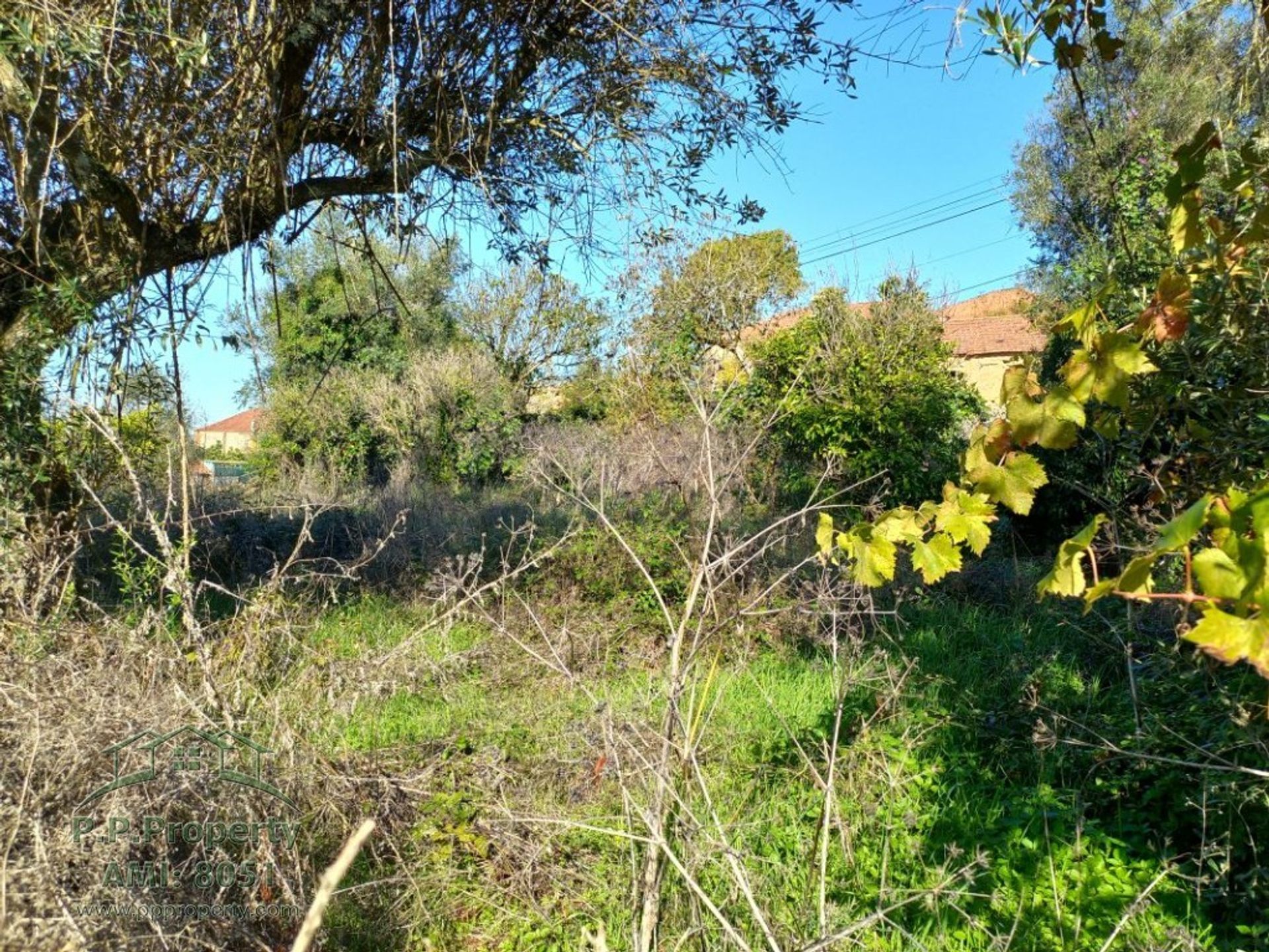 Casa nel Ferreira do Zezere, Santarem 10028722