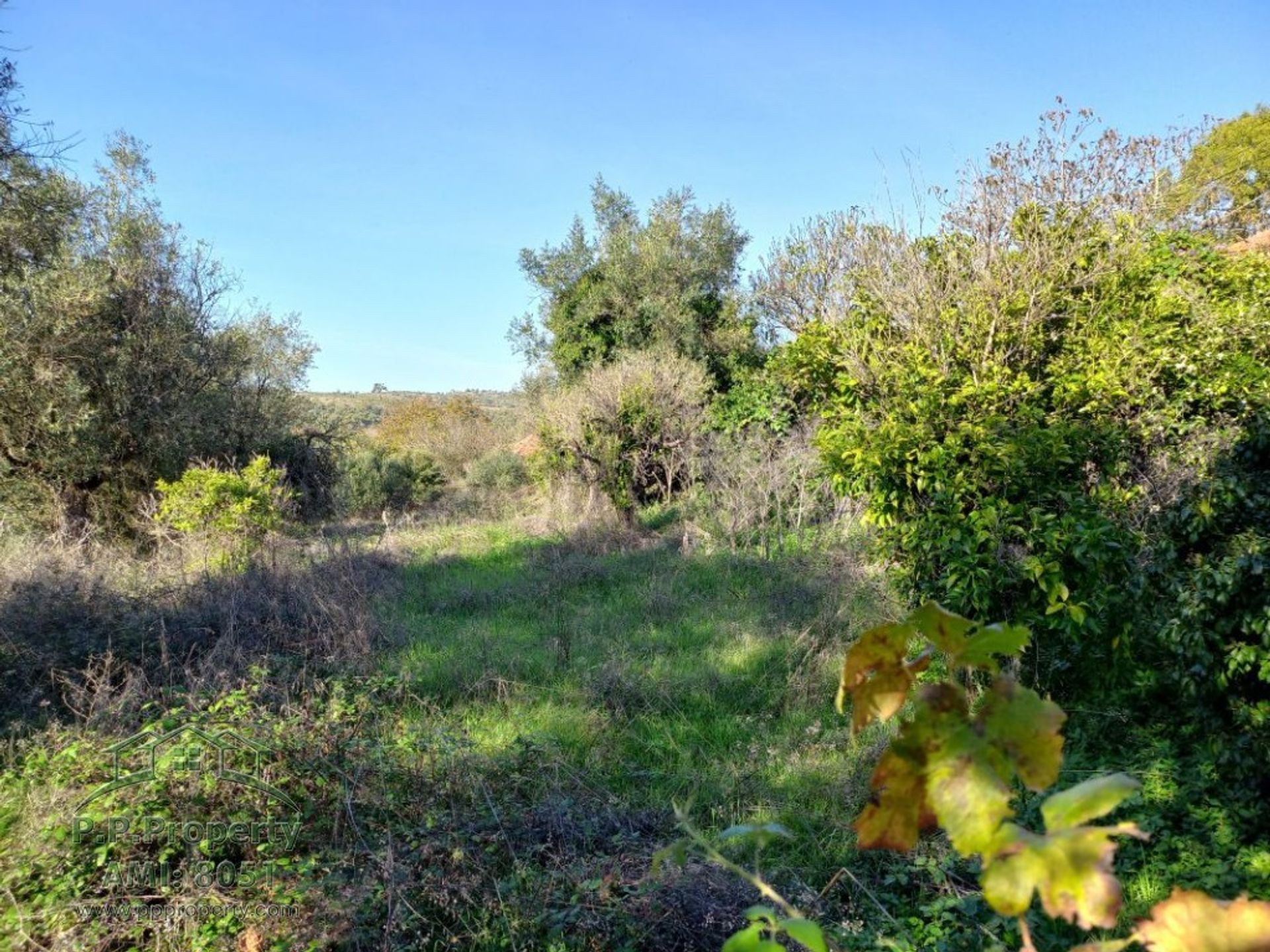 Casa nel Ferreira do Zezere, Santarem 10028722