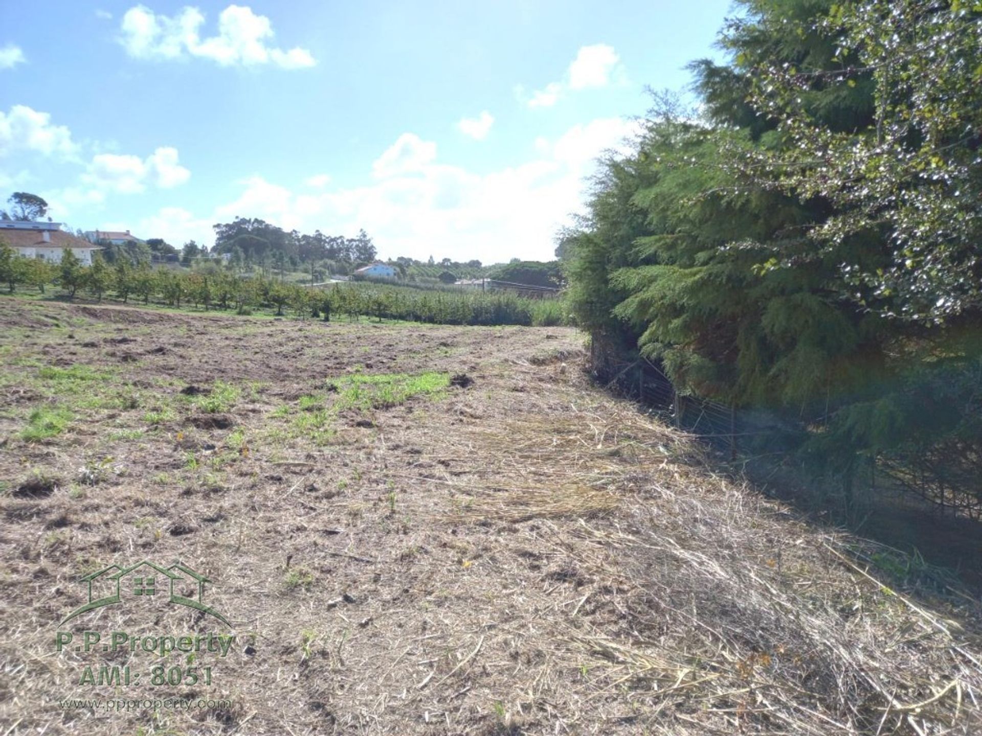 Tanah dalam Caldas da Rainha, Leiria 10028747