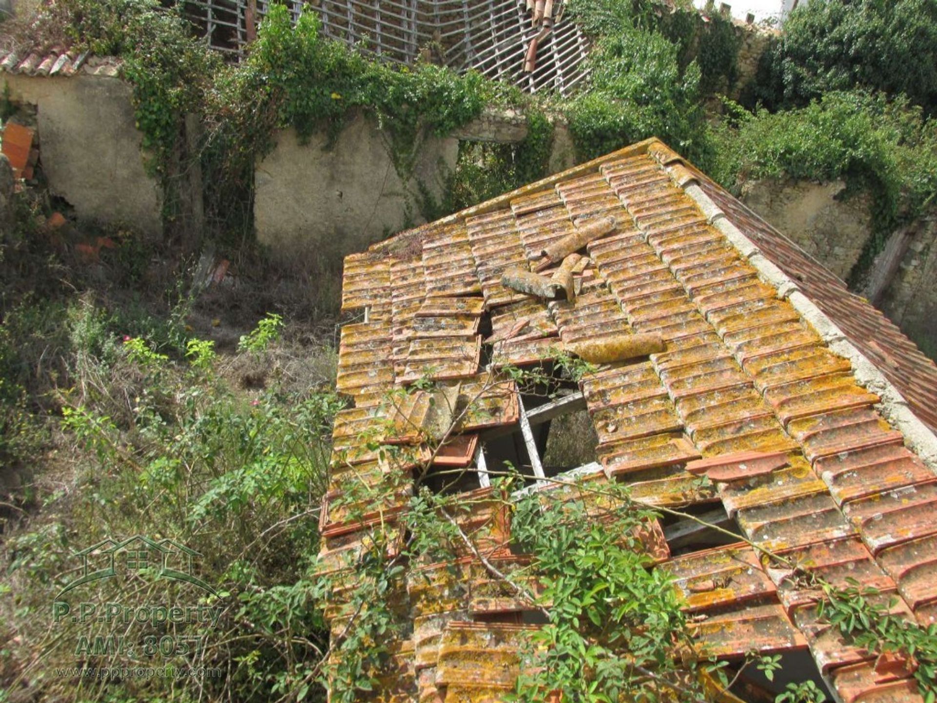 Haus im Figueira da Foz, Coimbra 10028750