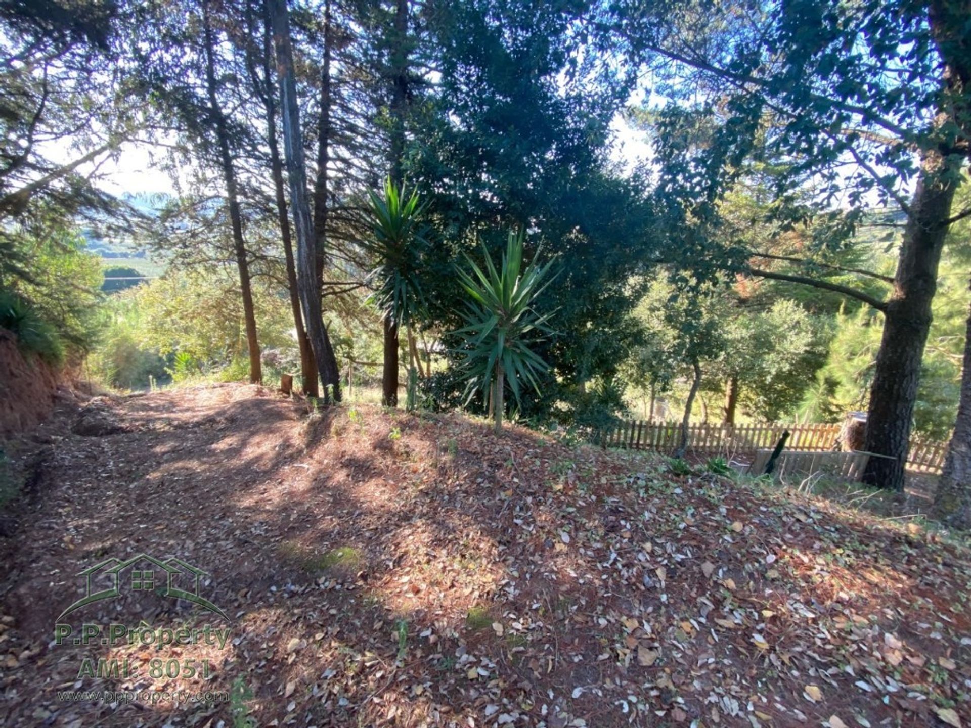 Casa nel Caldas da Rainha, Leiria 10028758