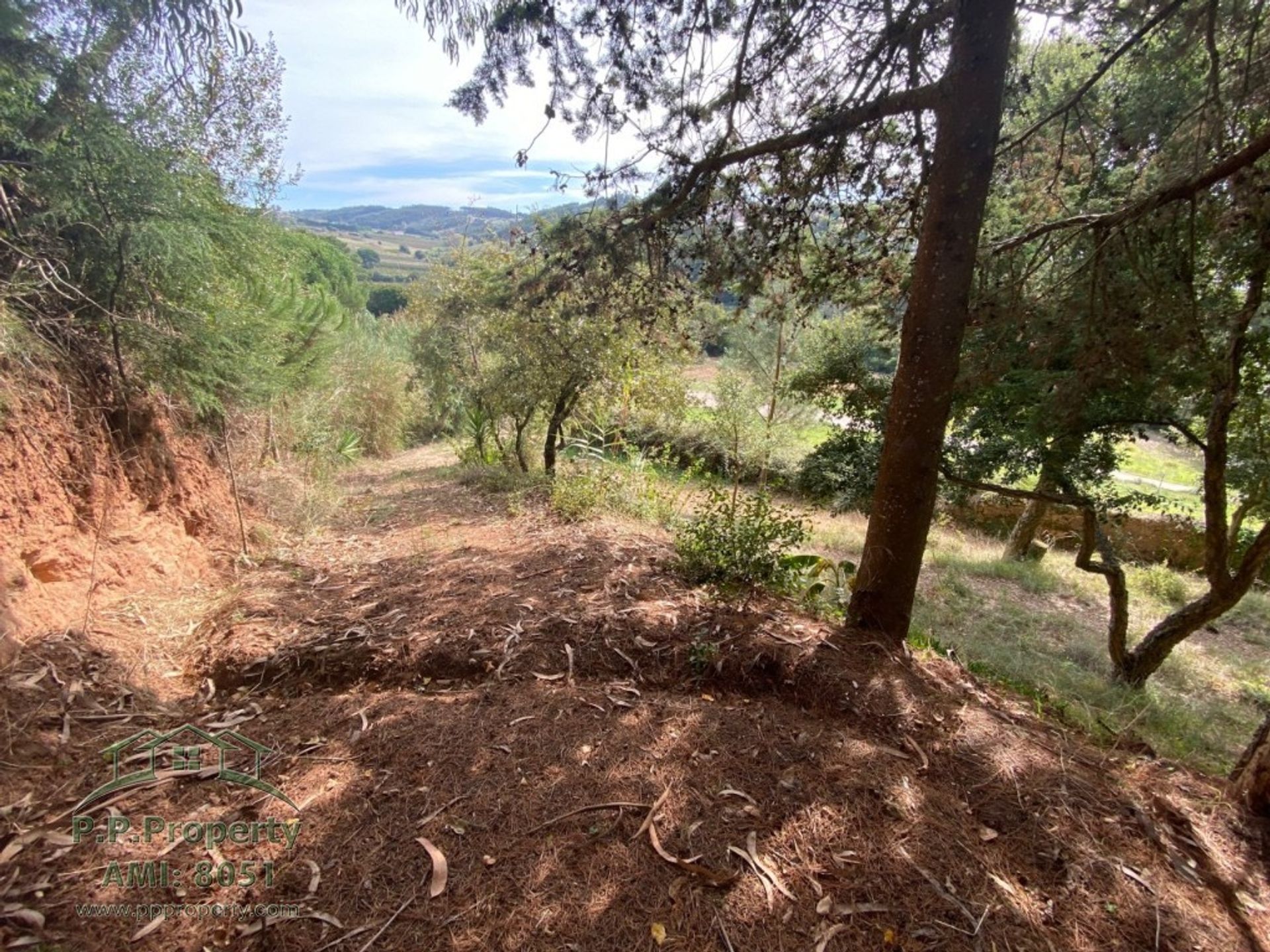 Casa nel Caldas da Rainha, Leiria 10028758