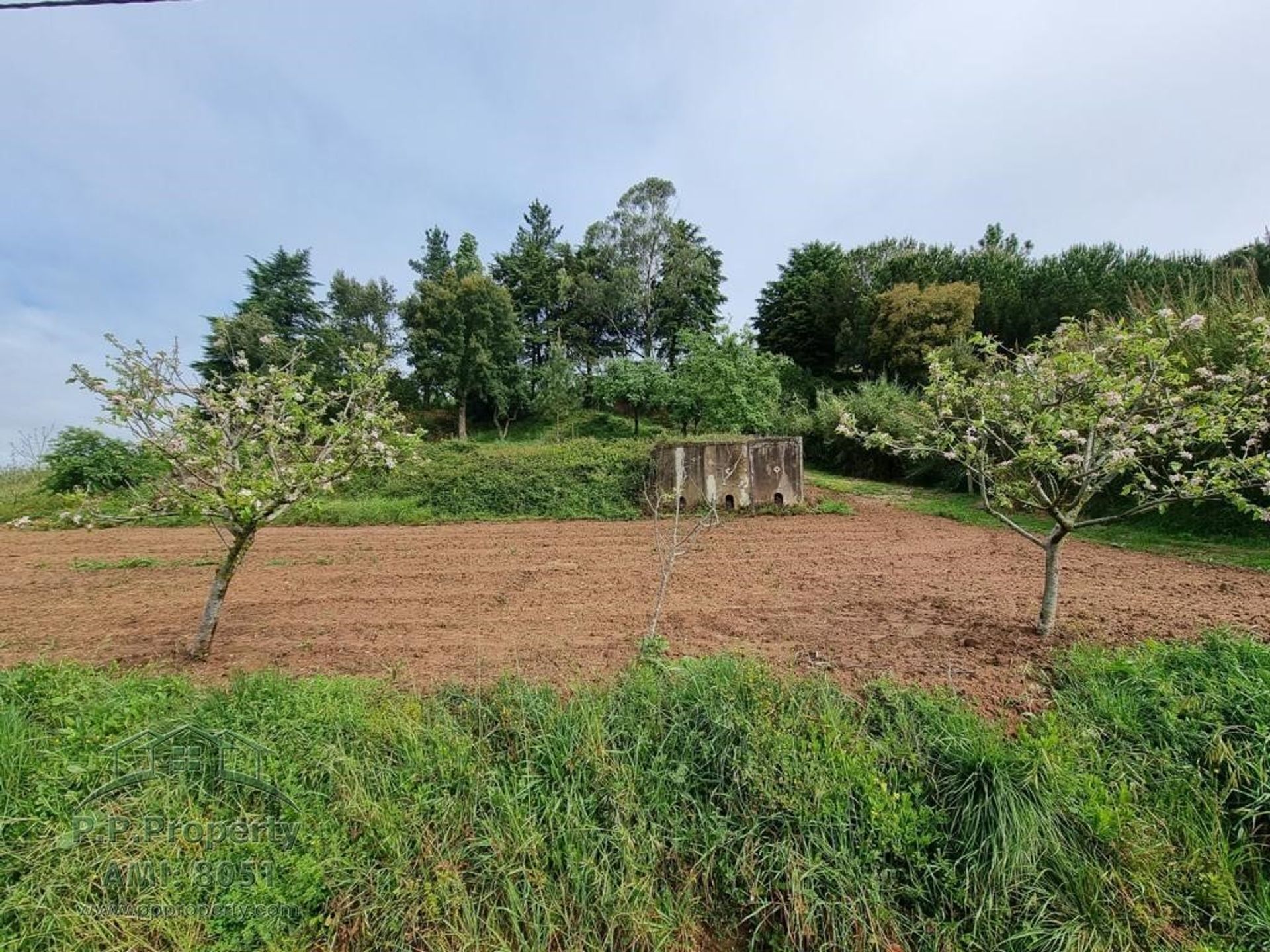 Casa nel Caldas da Rainha, Leiria 10028758