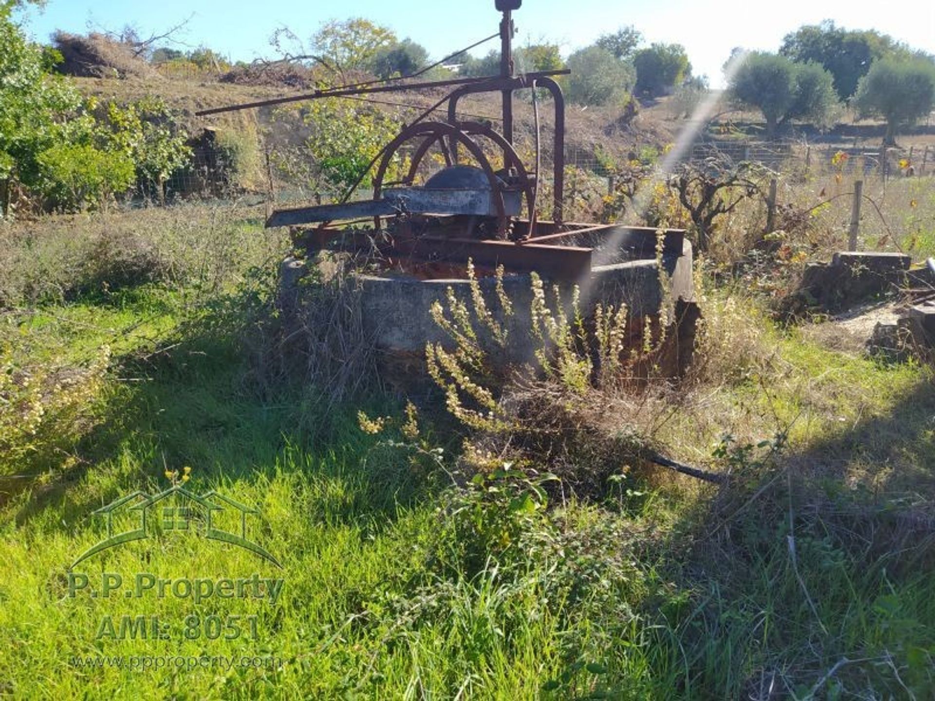 Maa sisään Palhava, Santarem 10028767