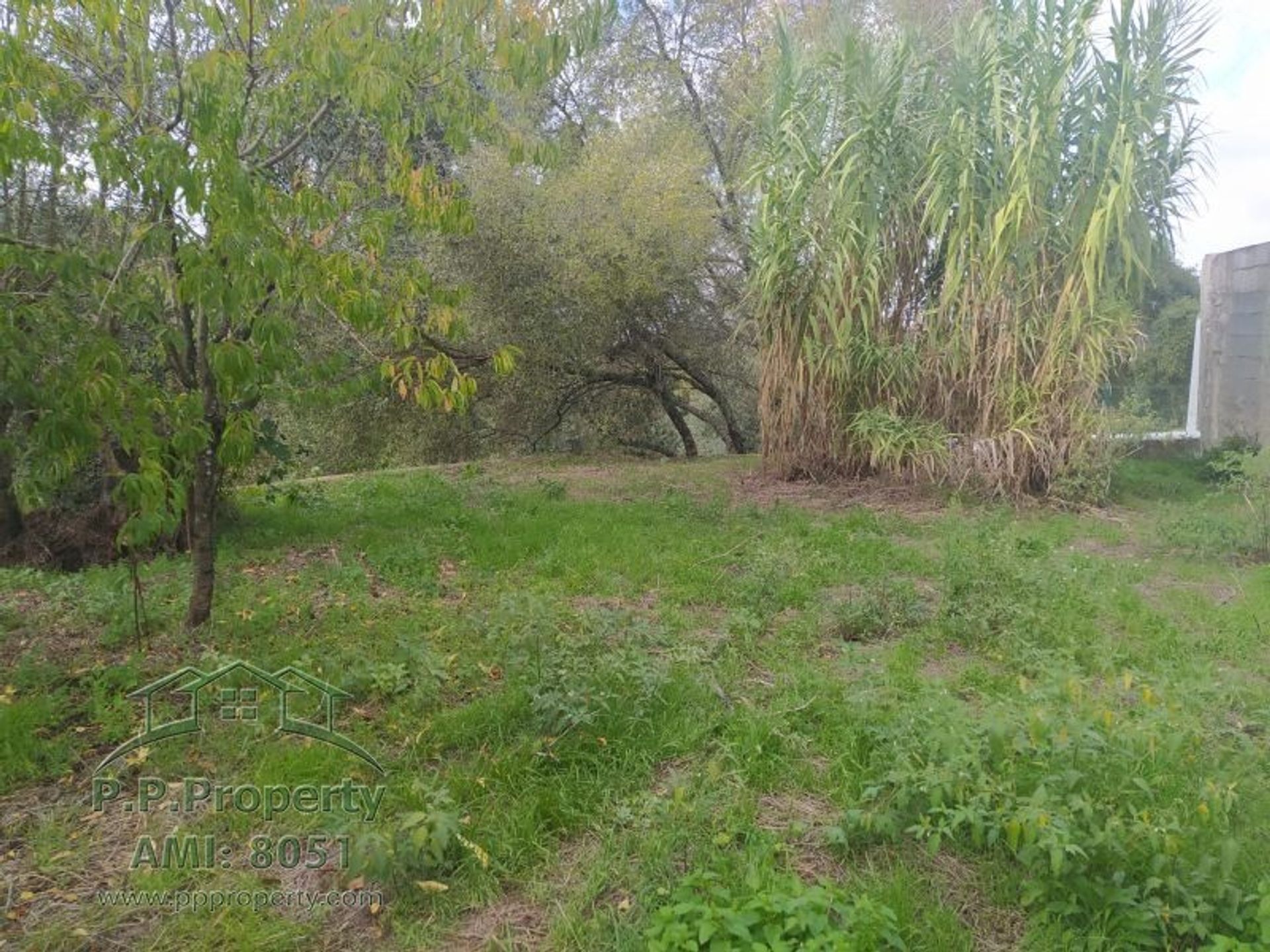 Land in Palhava, Santarem 10028787