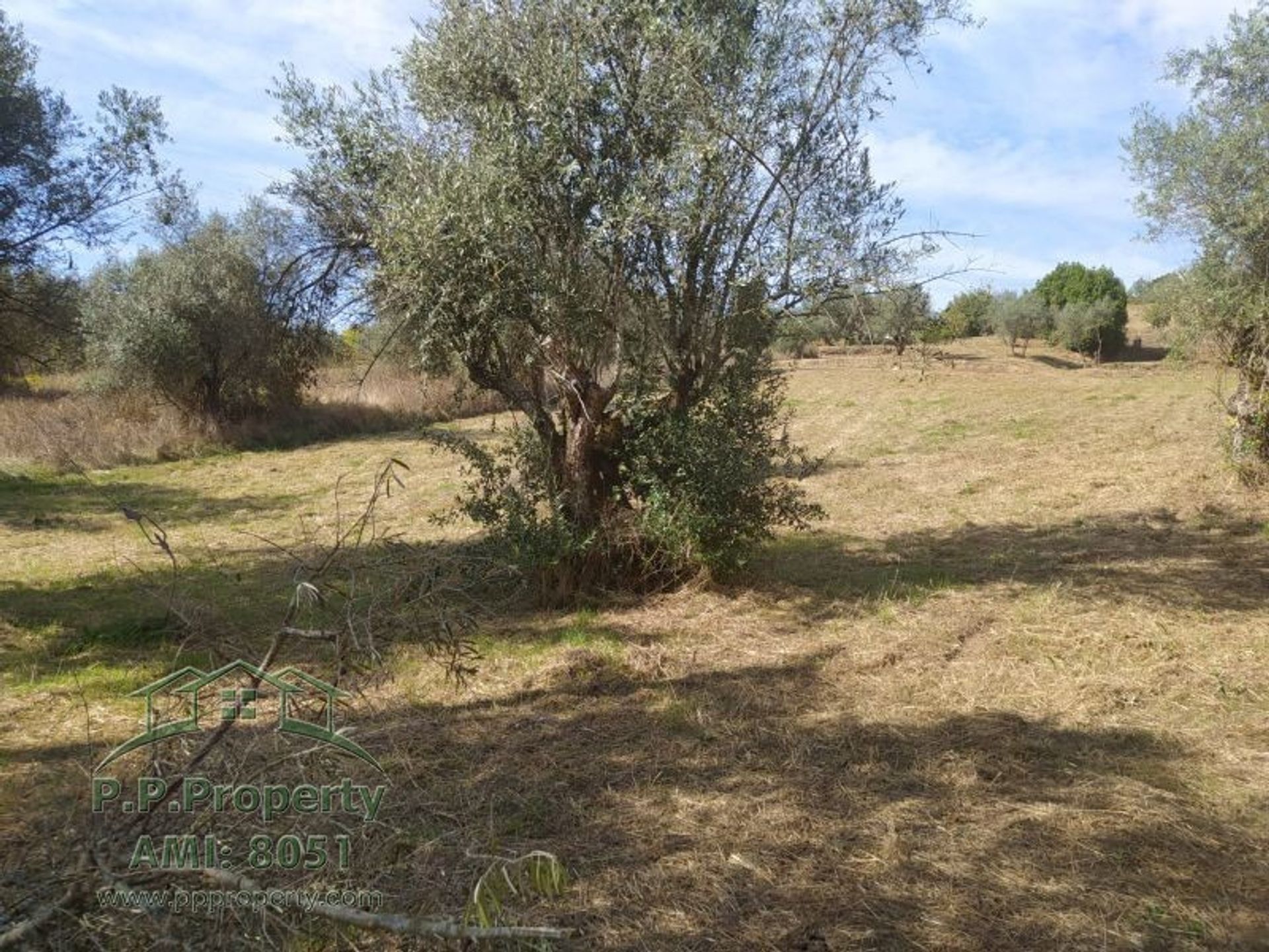 Land in Palhava, Santarem 10028814