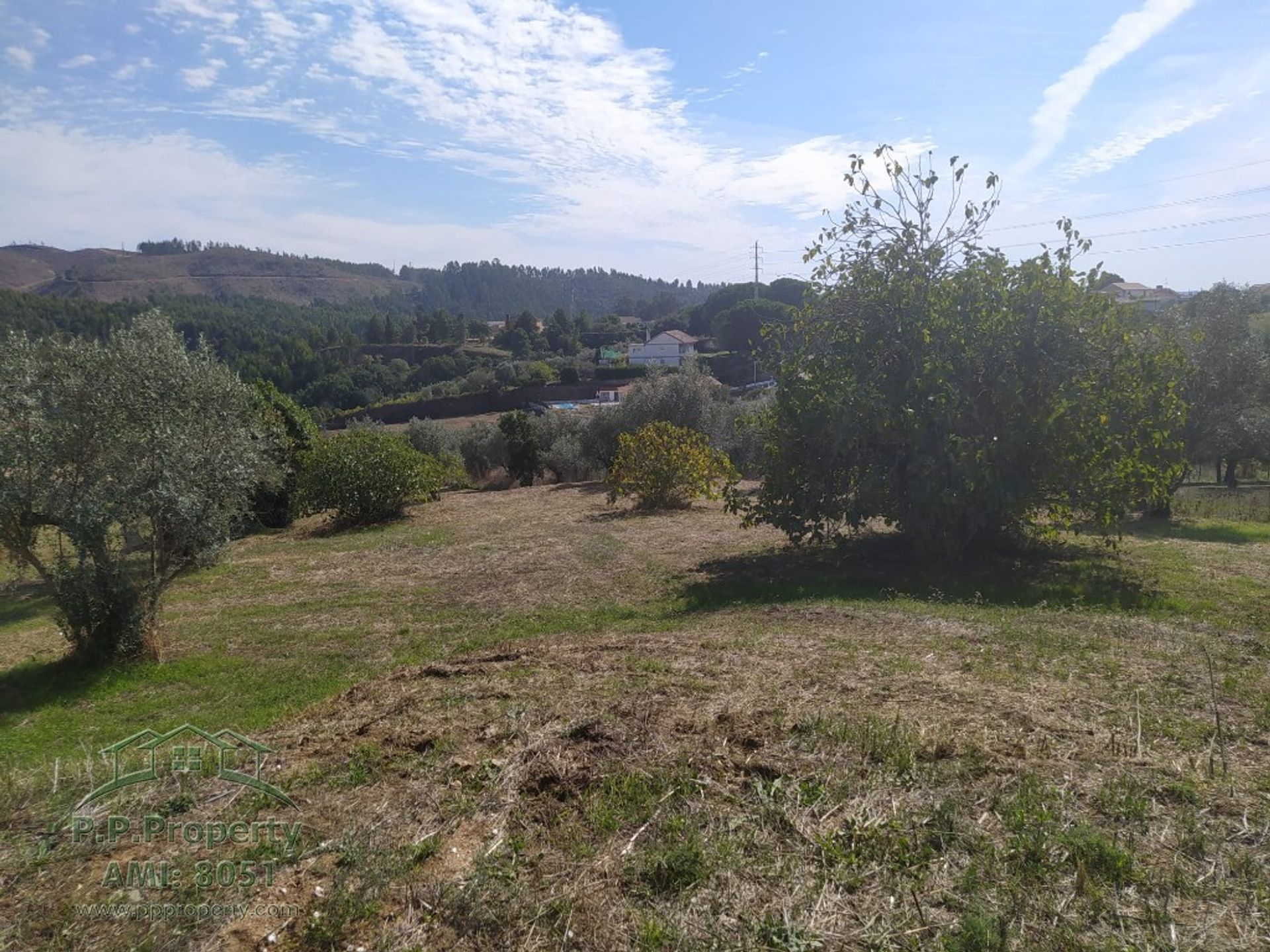 Land in Palhava, Santarem 10028816