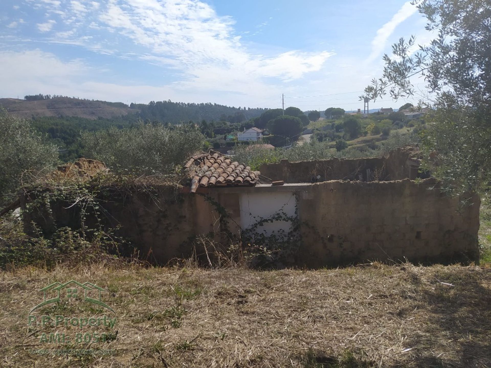 Земельные участки в Пальхава, Сантарен 10028816