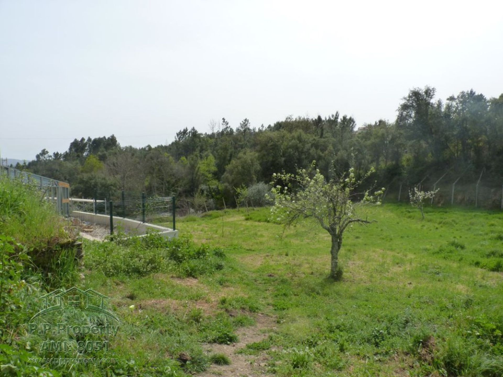 Casa nel Pedrogao Grande, Leiria 10028830