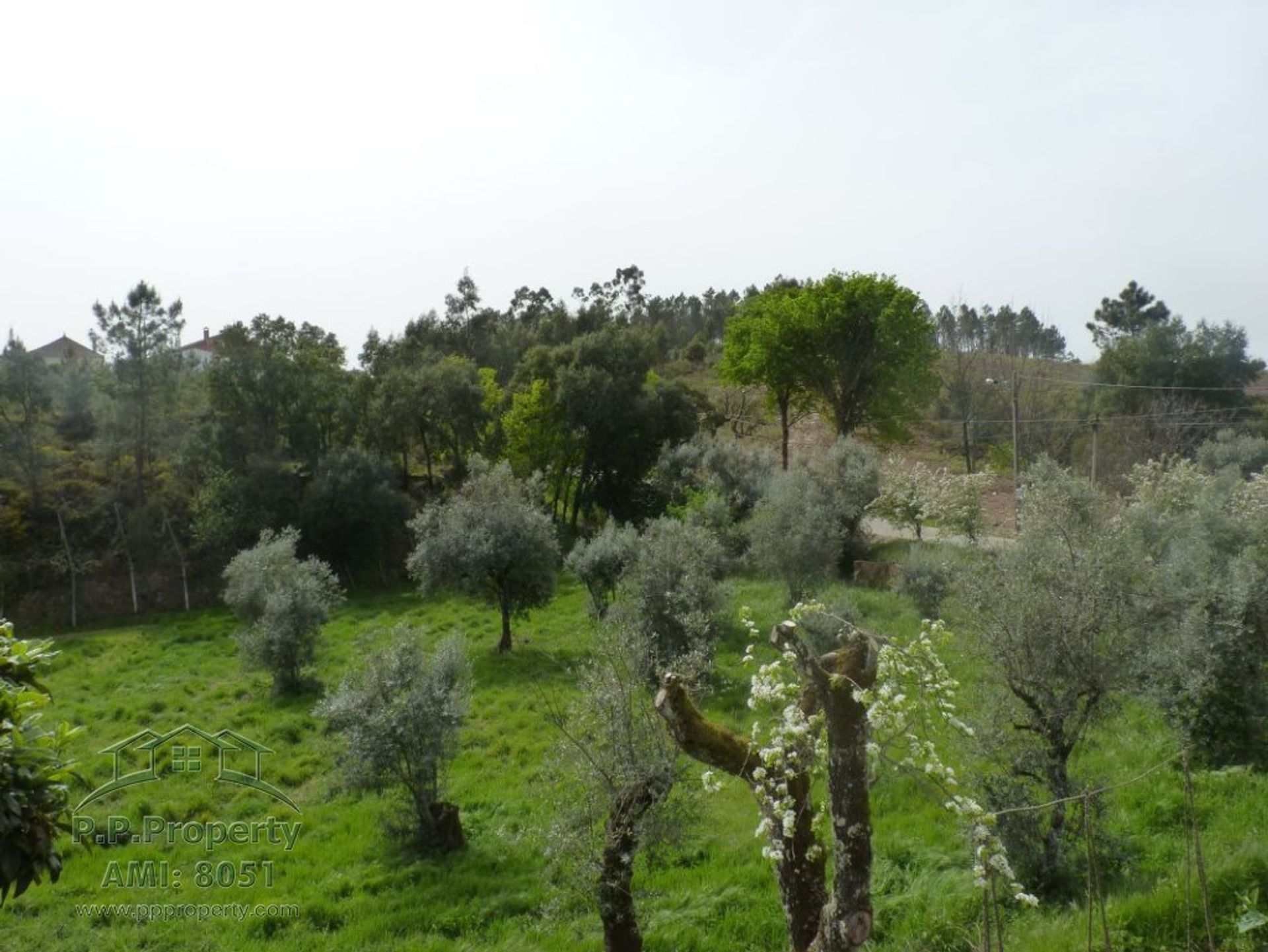 Casa nel Pedrogao Grande, Leiria 10028830