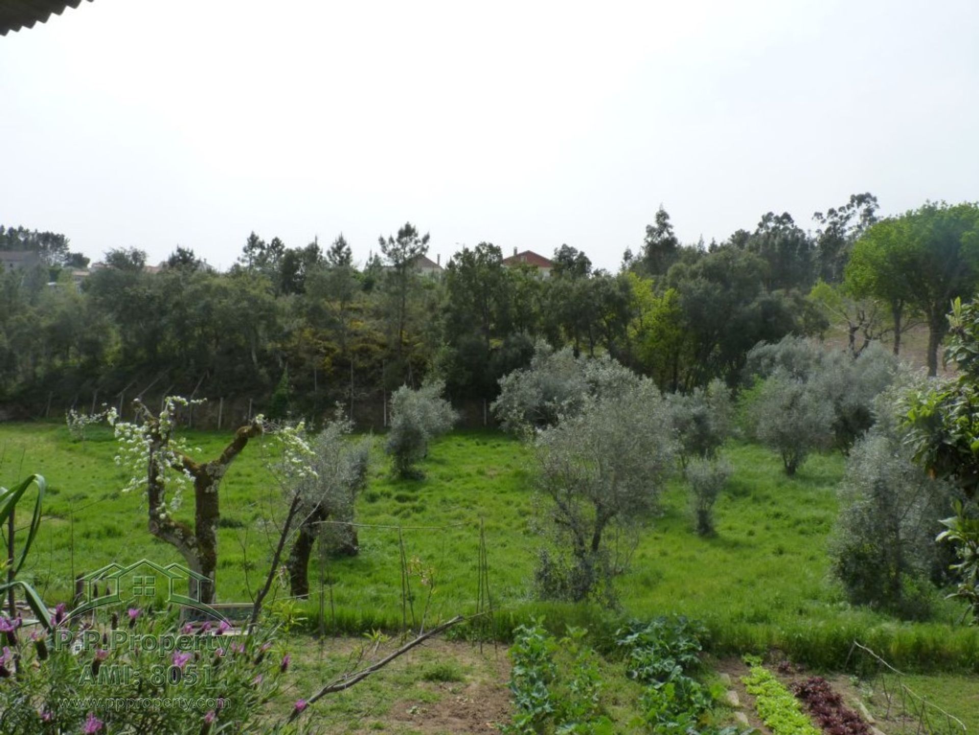 Casa nel Pedrogao Grande, Leiria 10028830