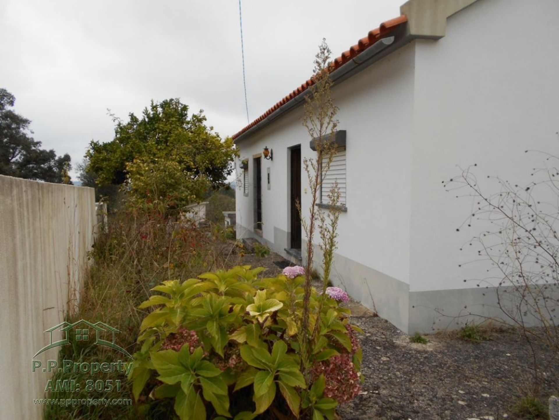 Haus im Ansiao, Leiria 10028832