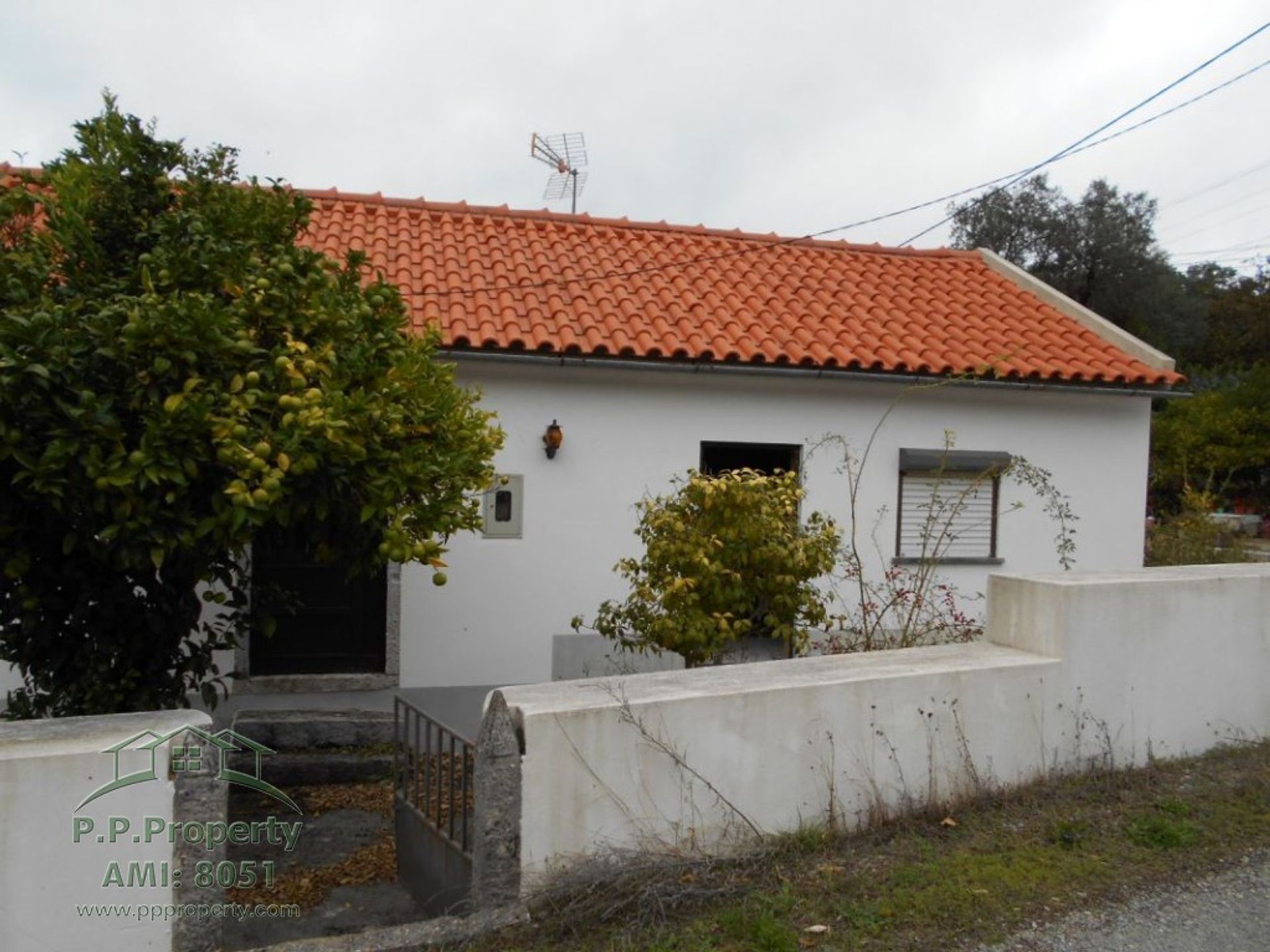 بيت في Ansiao, Leiria 10028832