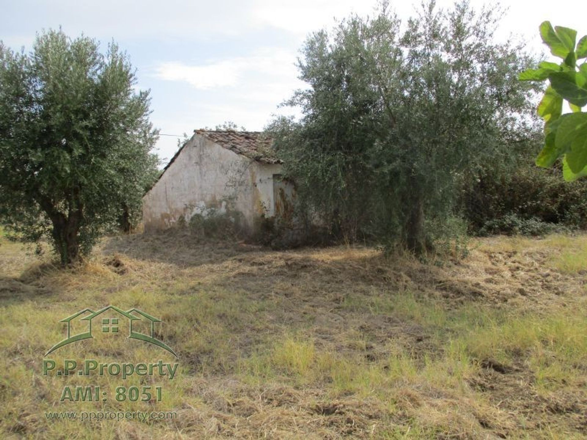 Tierra en Palhava, Santarem 10028852