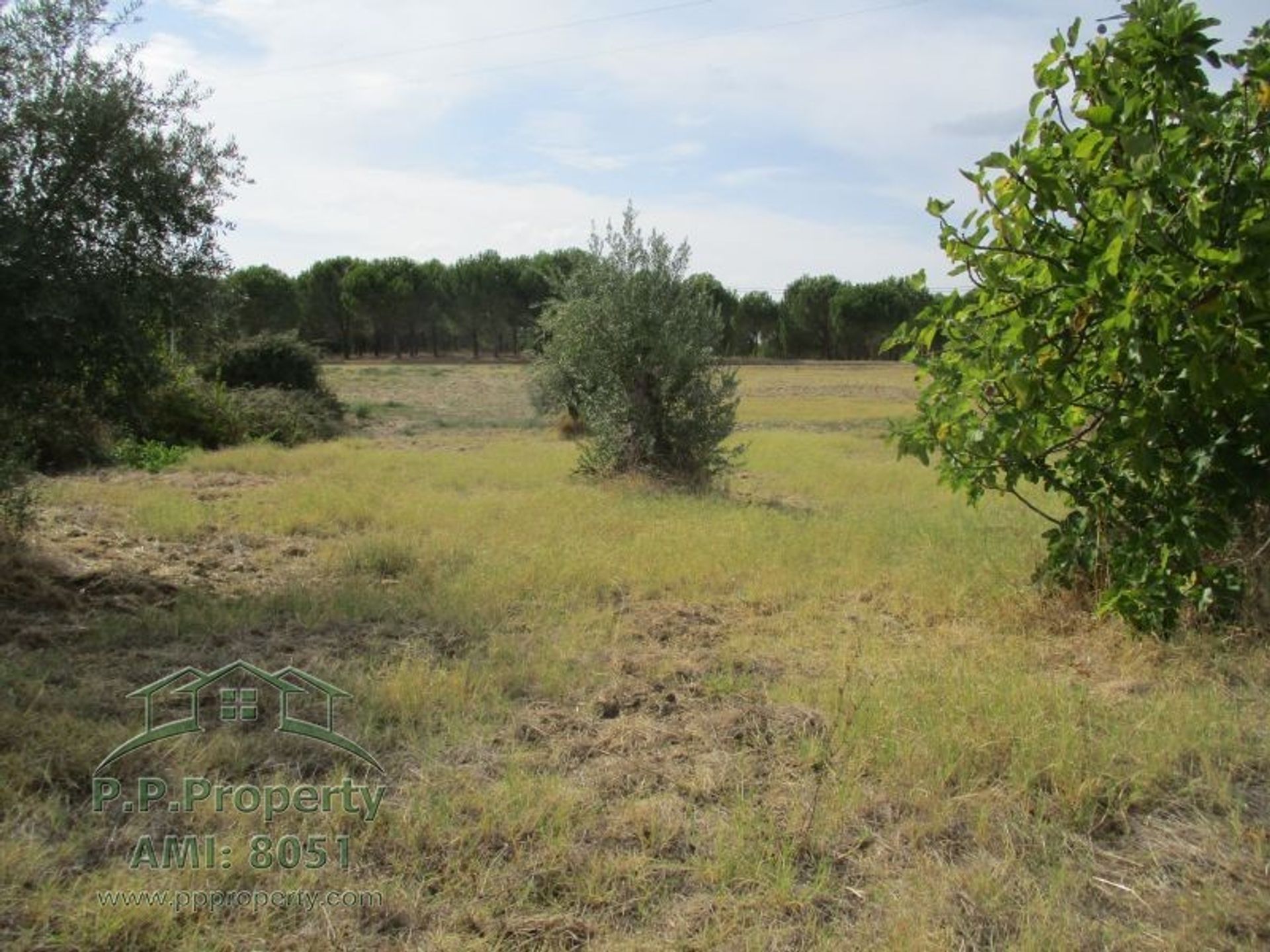 Tierra en Palhava, Santarem 10028852