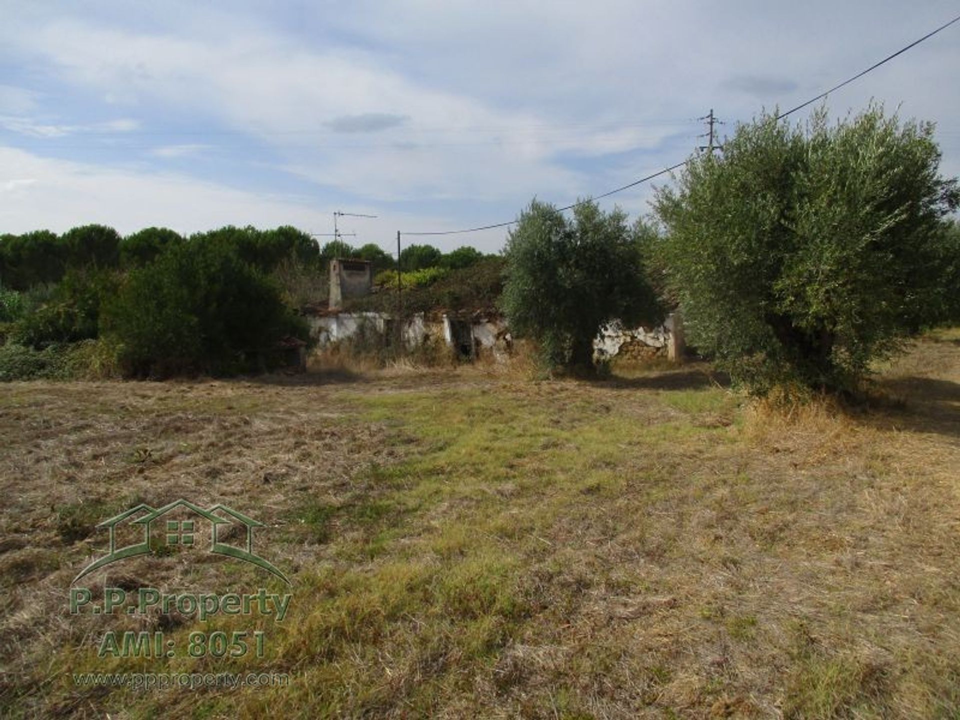 Land in Palhava, Santarem 10028852