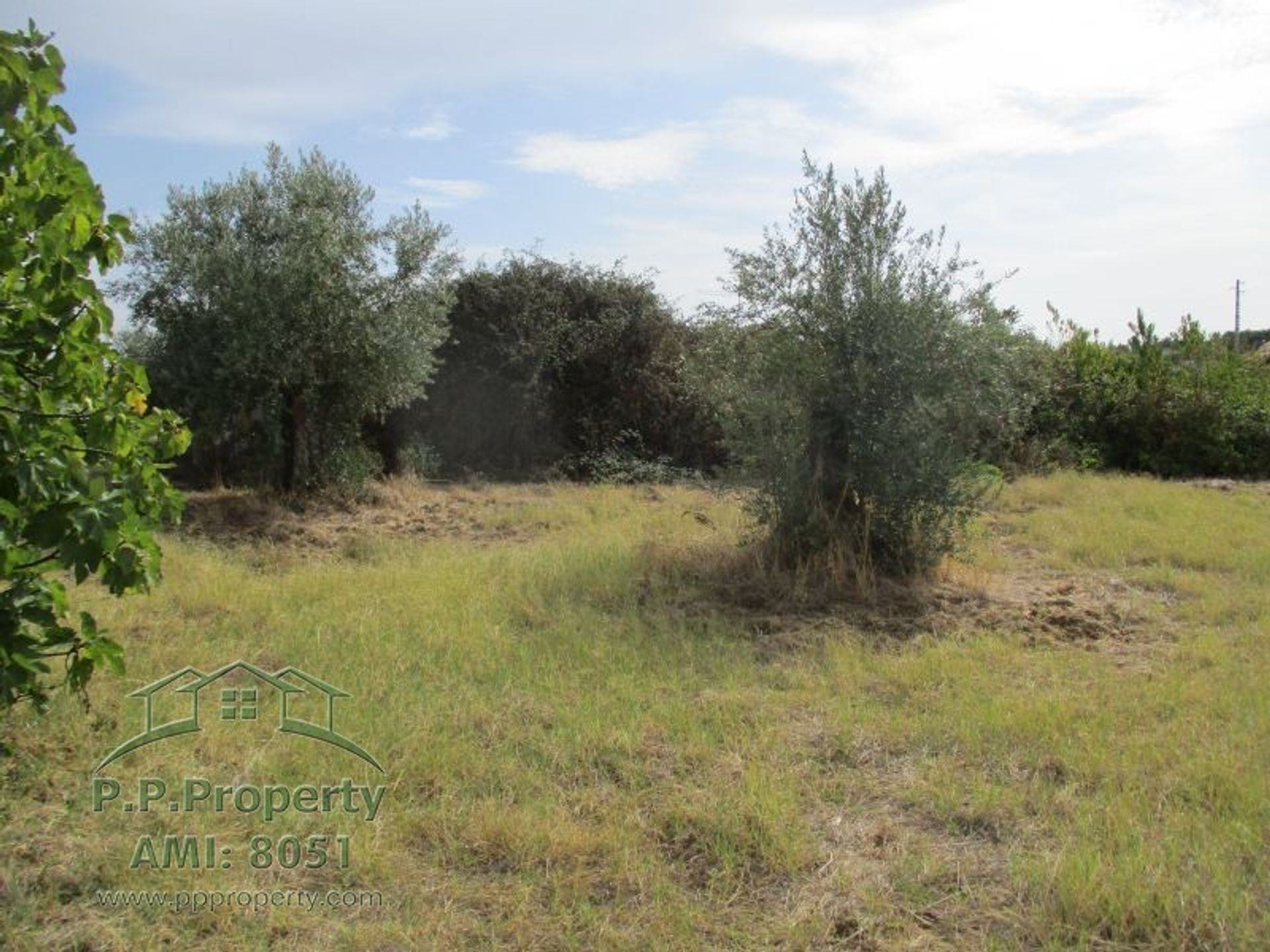 Land in Palhava, Santarem 10028852