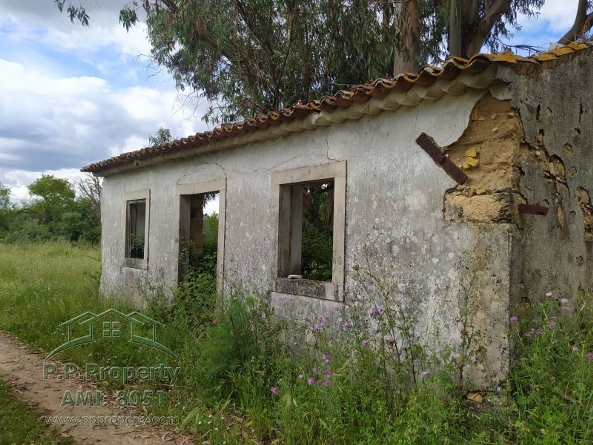 Land in Palhava, Santarem 10028854