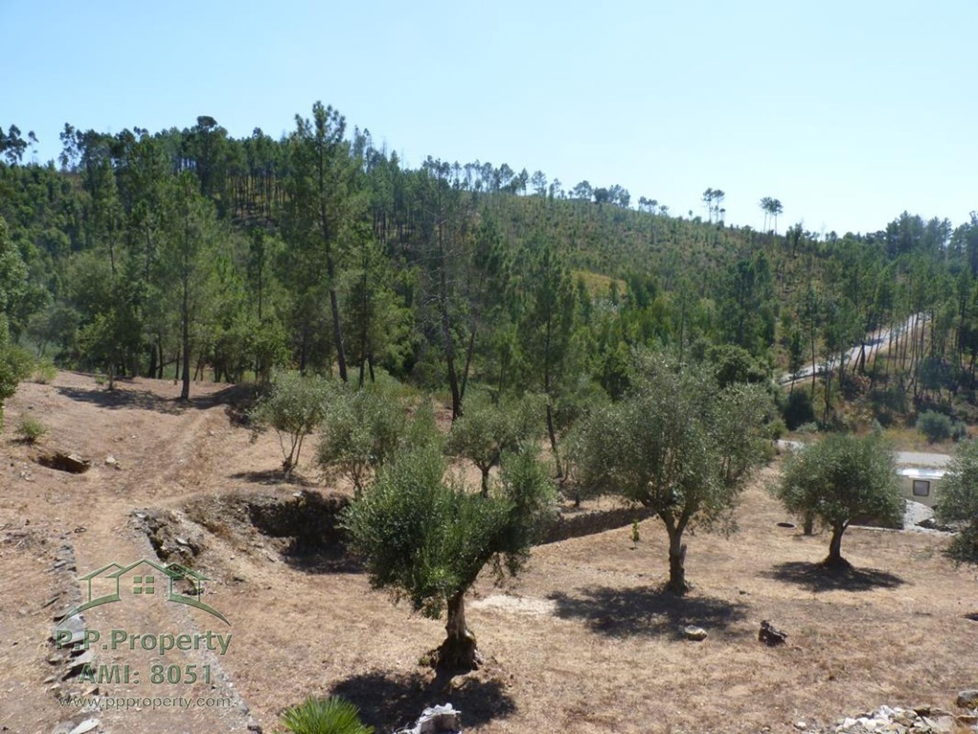 Hus i Vila de Rei, Castelo Branco 10028856