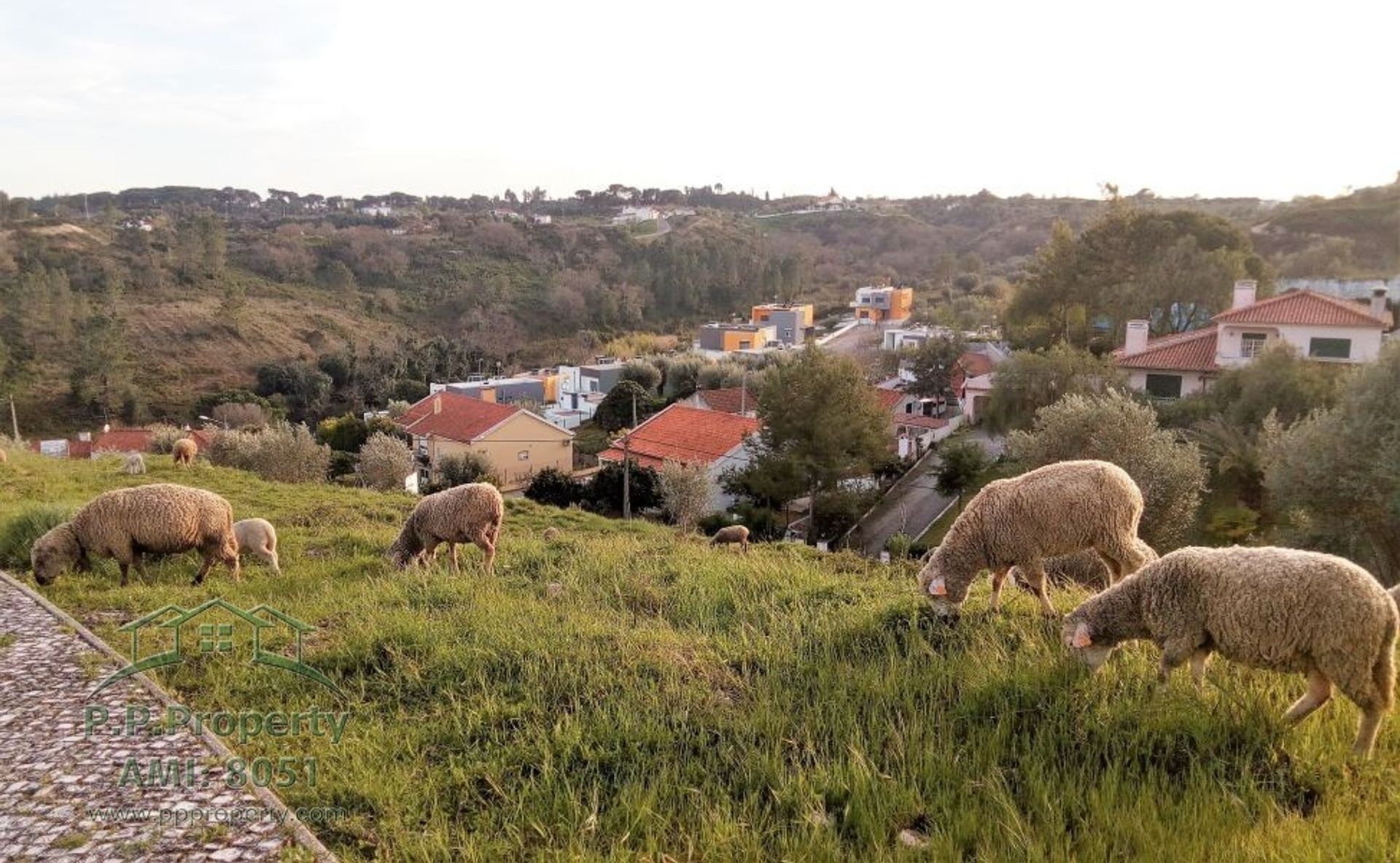 Γη σε Palhava, Σανταρέμ 10028869