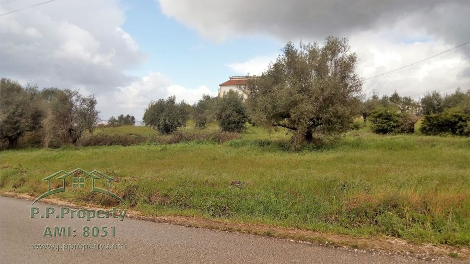 Land in Palhava, Santarem 10028875