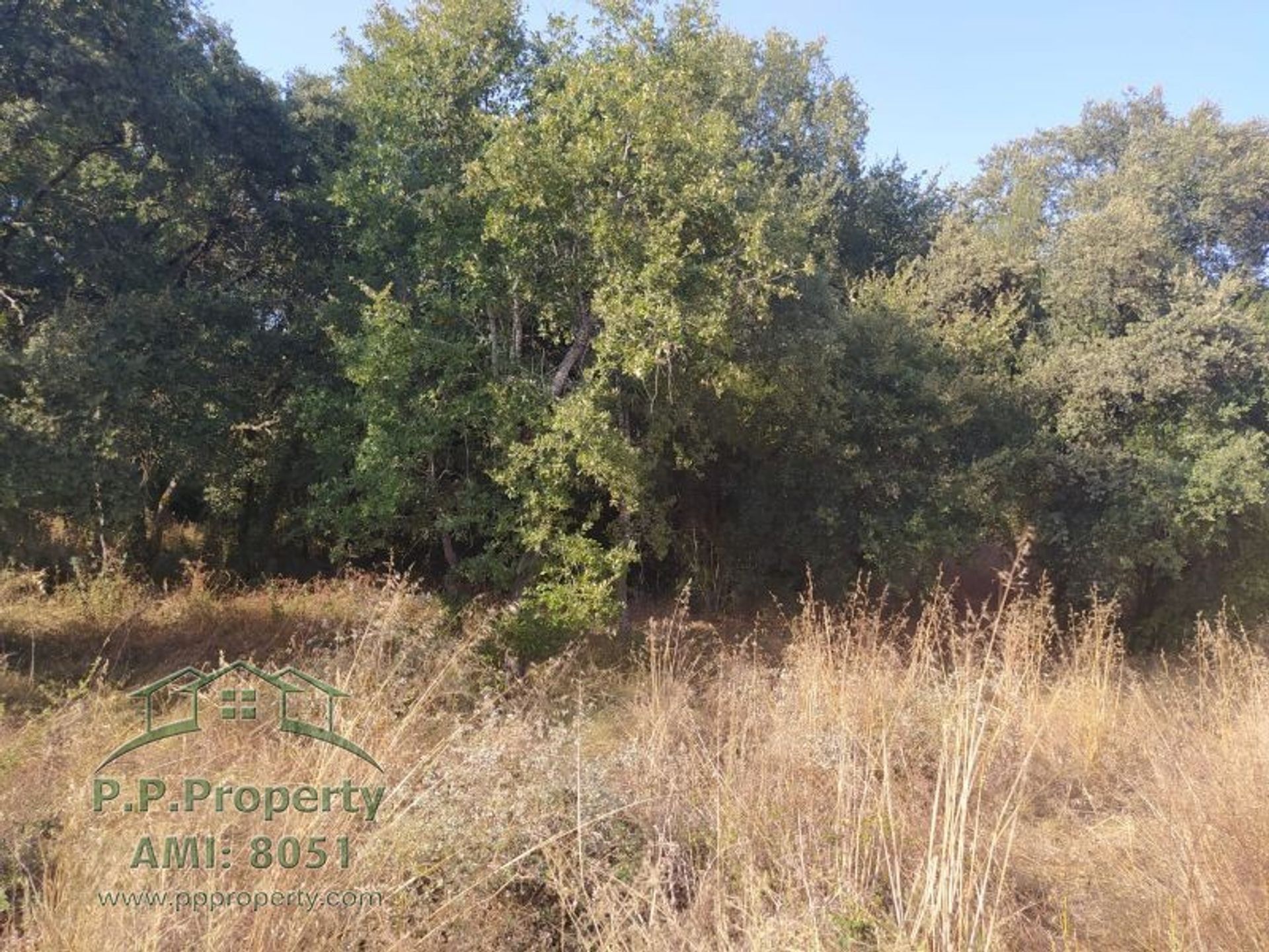 Terre dans Ferreira do Zêzere, Santarém 10028881