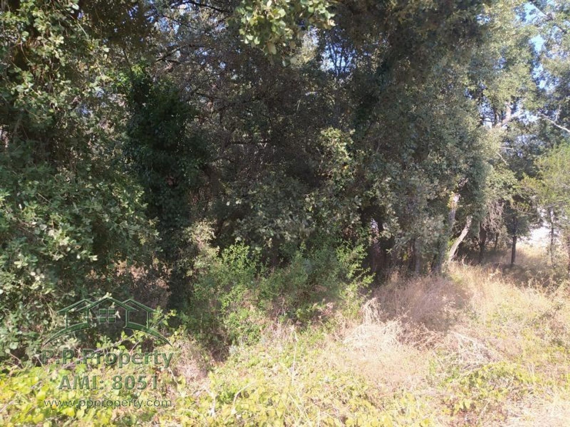 Terre dans Ferreira do Zêzere, Santarém 10028881