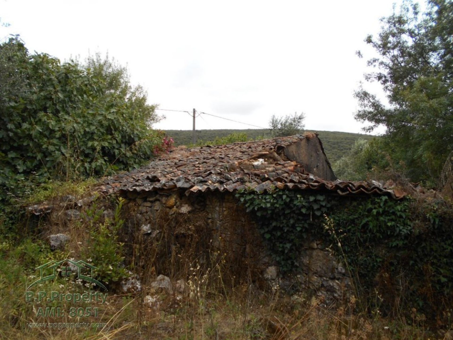 Hus i Alvaiazere, Leiria 10028921