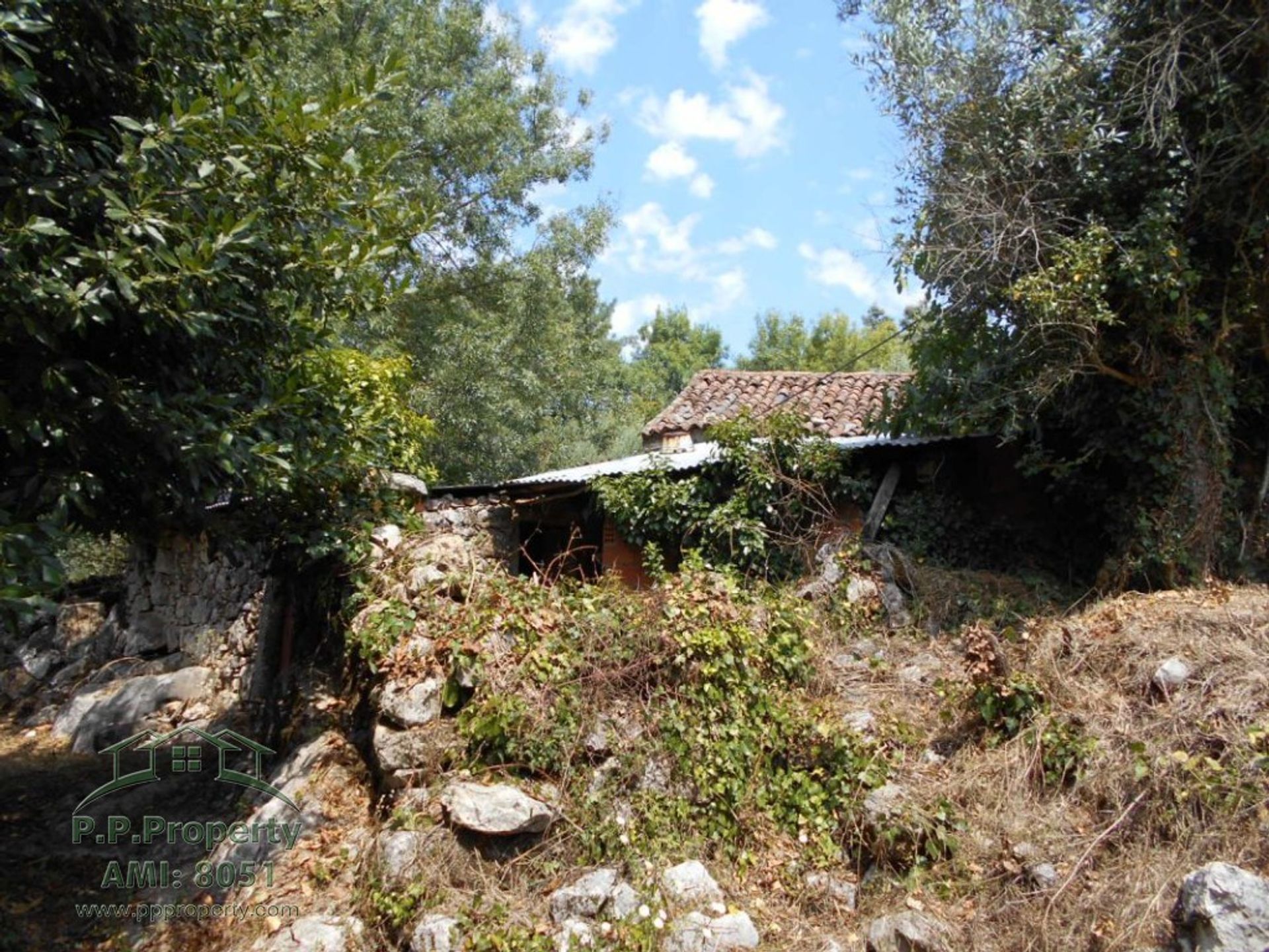 Haus im Alvaiazere, Leiria 10028921