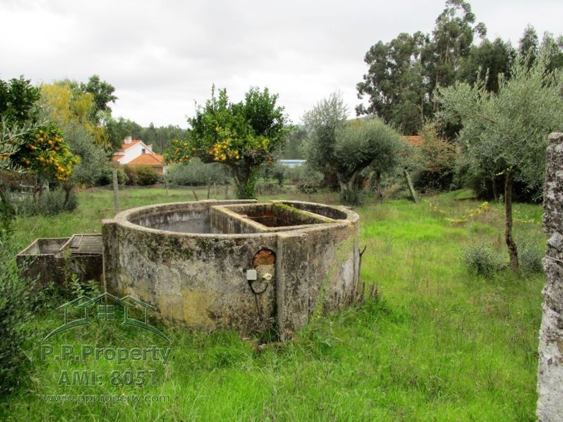 Casa nel Tomar, Santarem 10028922