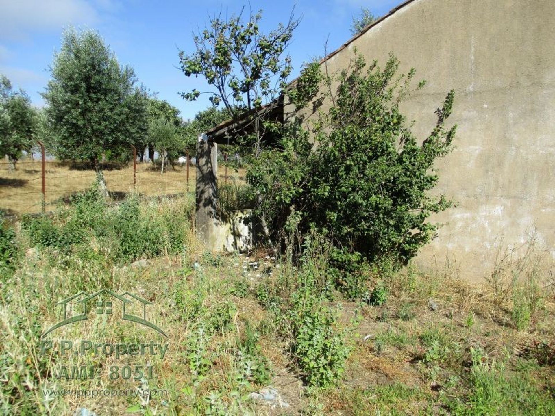 Casa nel Palhava, Santarém 10028958