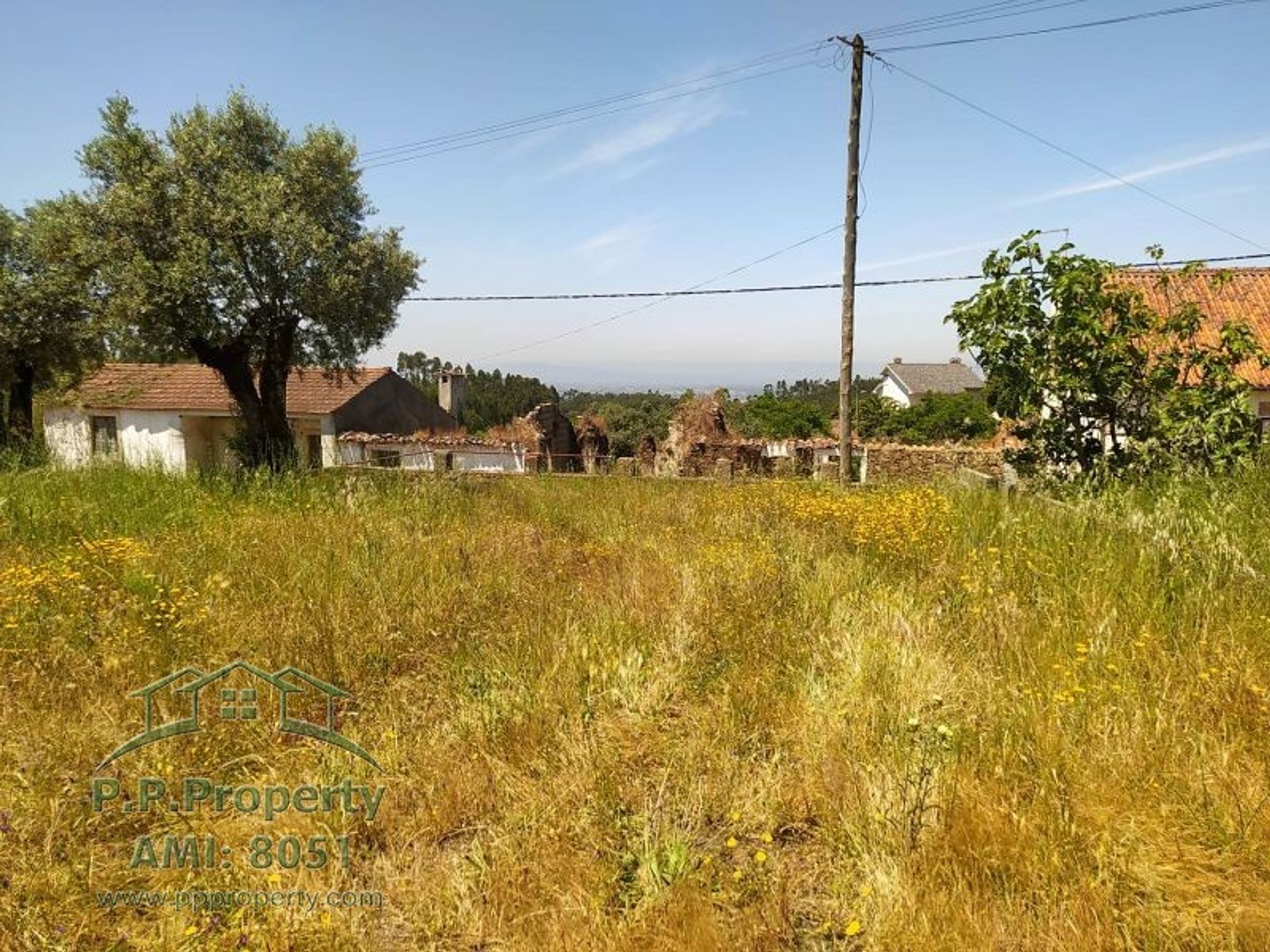 Land in Palhava, Santarem 10028959